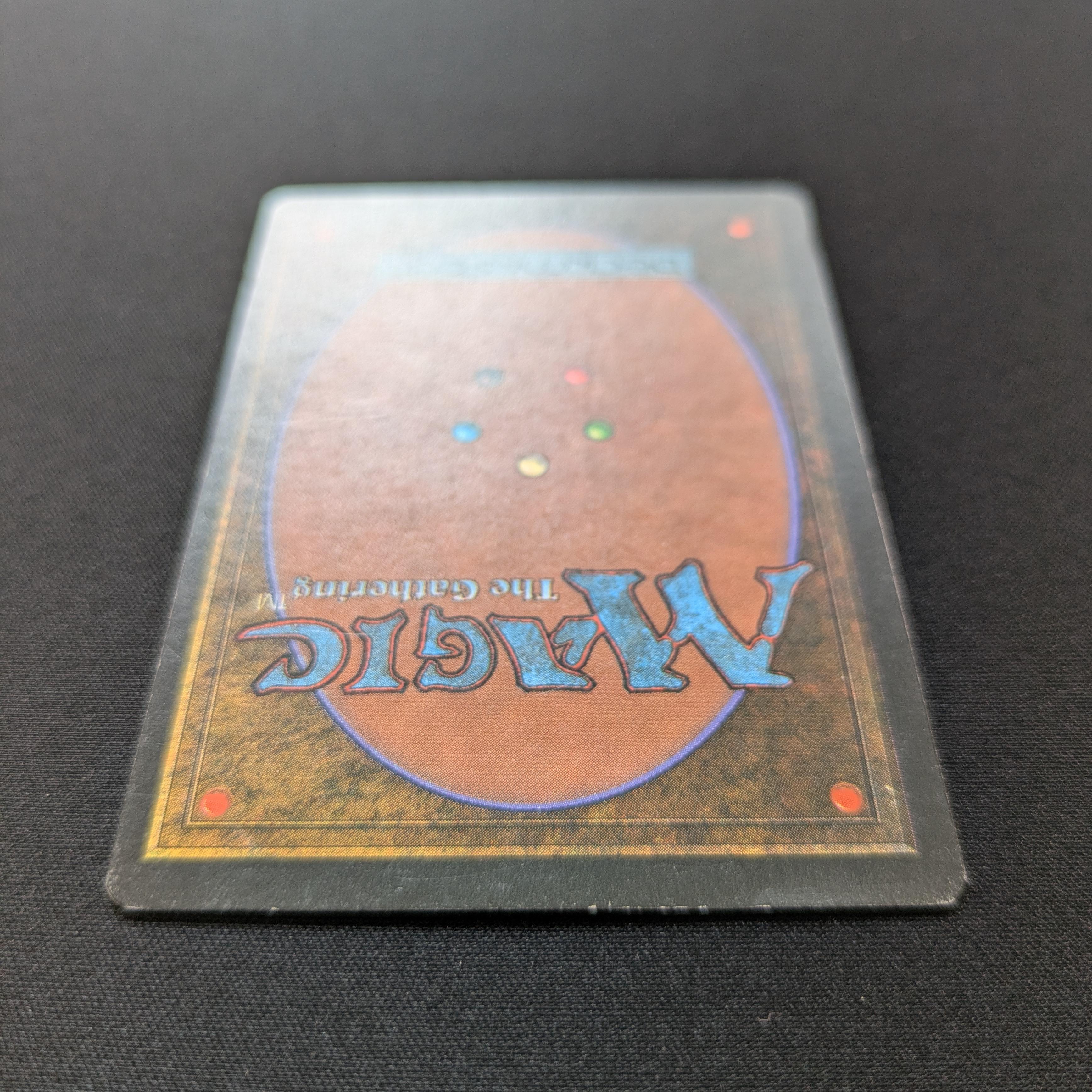 MTG Singles - Bayou - Foreign Black Bordered - 