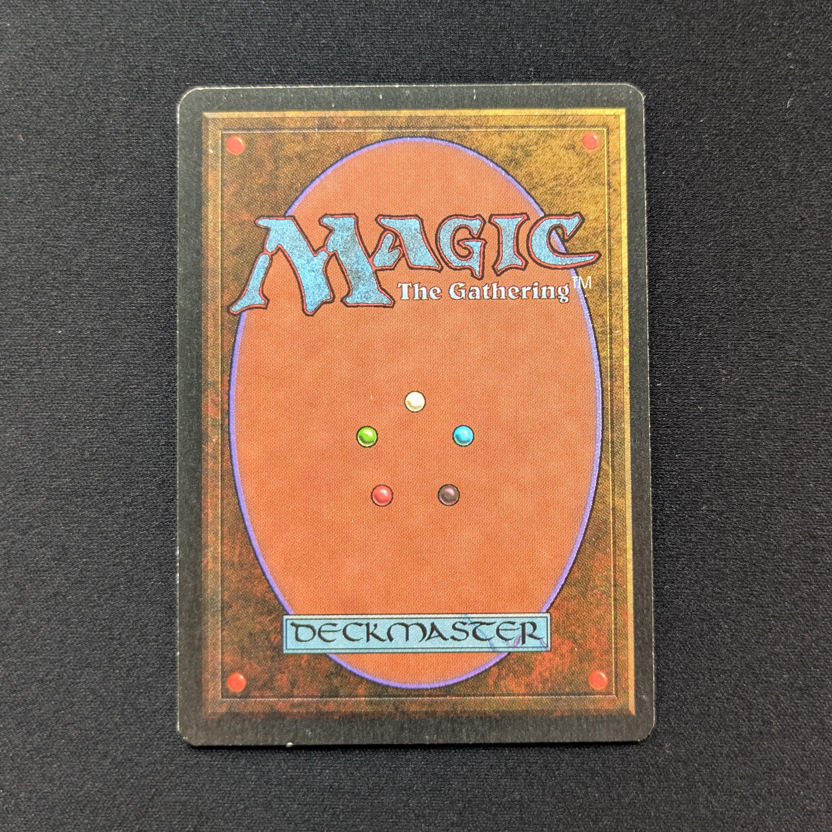 MTG Singles - Bayou - Revised - 