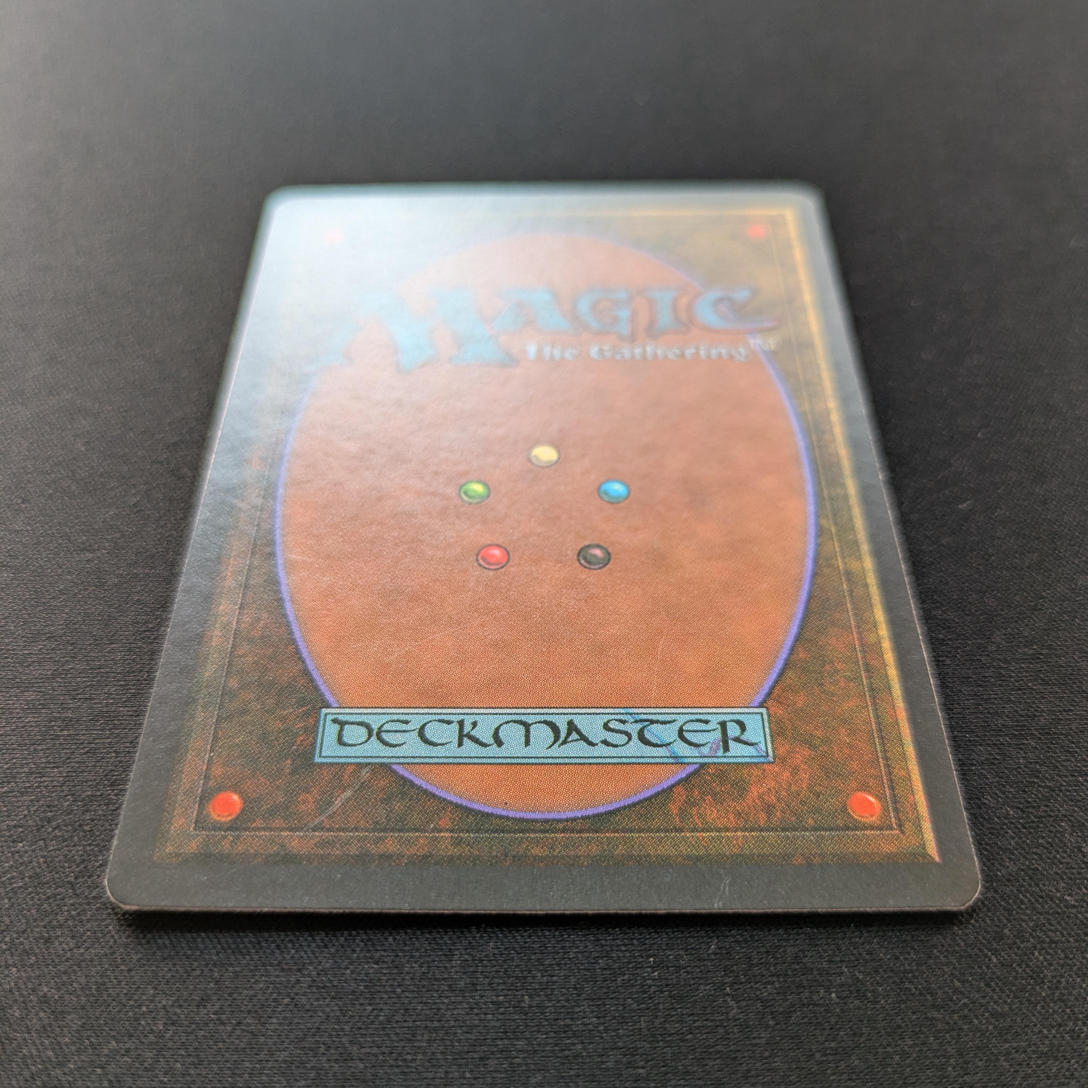 MTG Singles - Bayou - Foreign Black Bordered - 