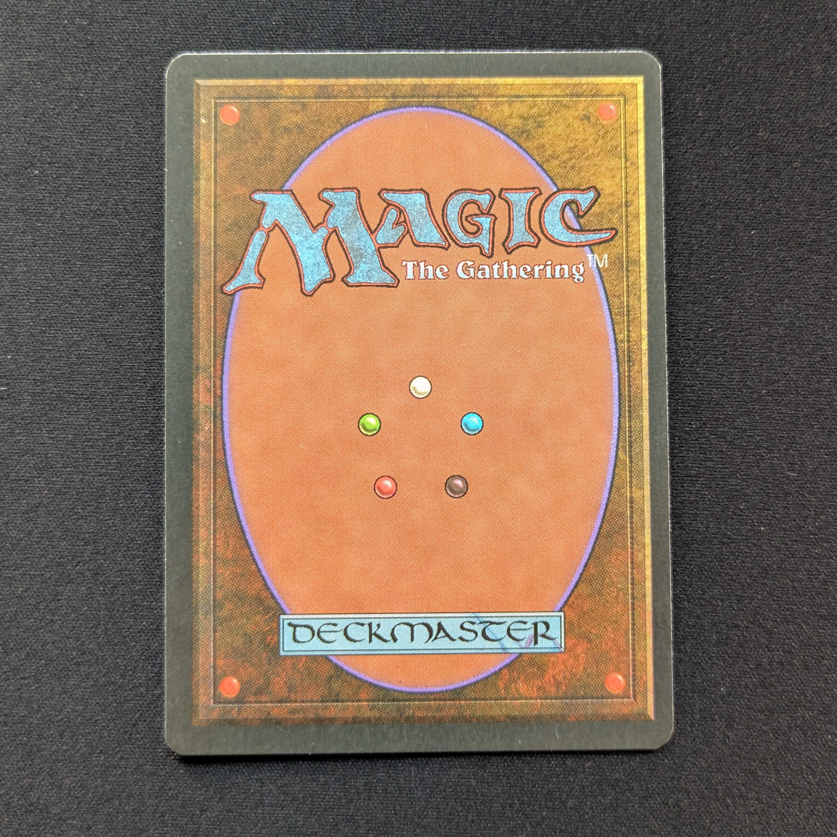 MTG Singles - Tundra - Foreign Black Bordered - 