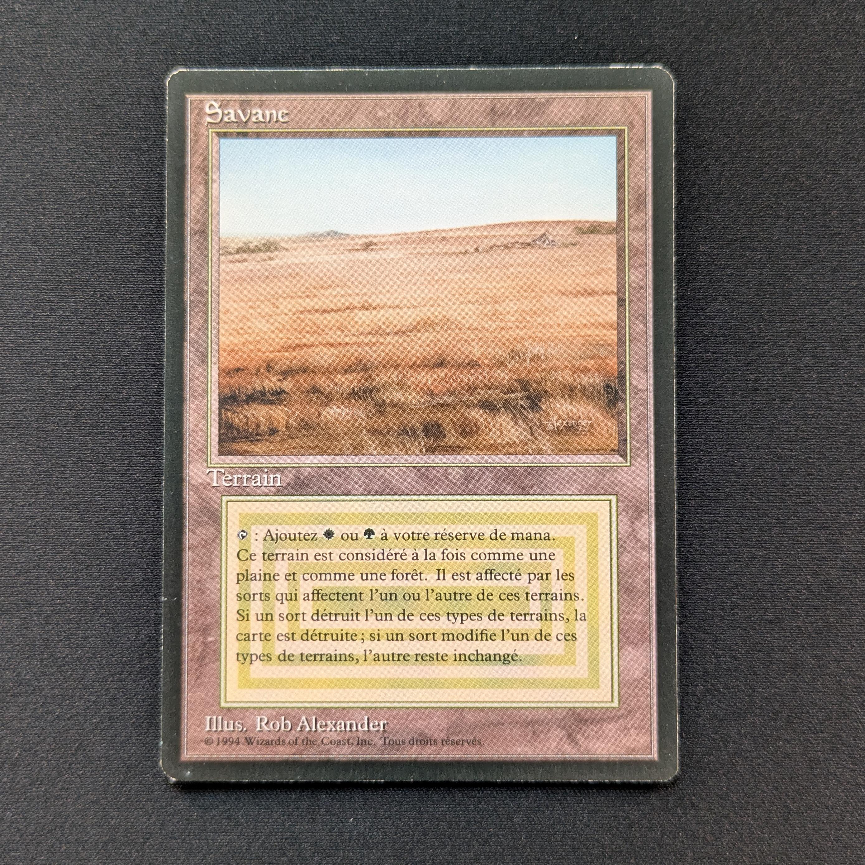 MTG Singles - Savannah - Foreign Black Bordered - 