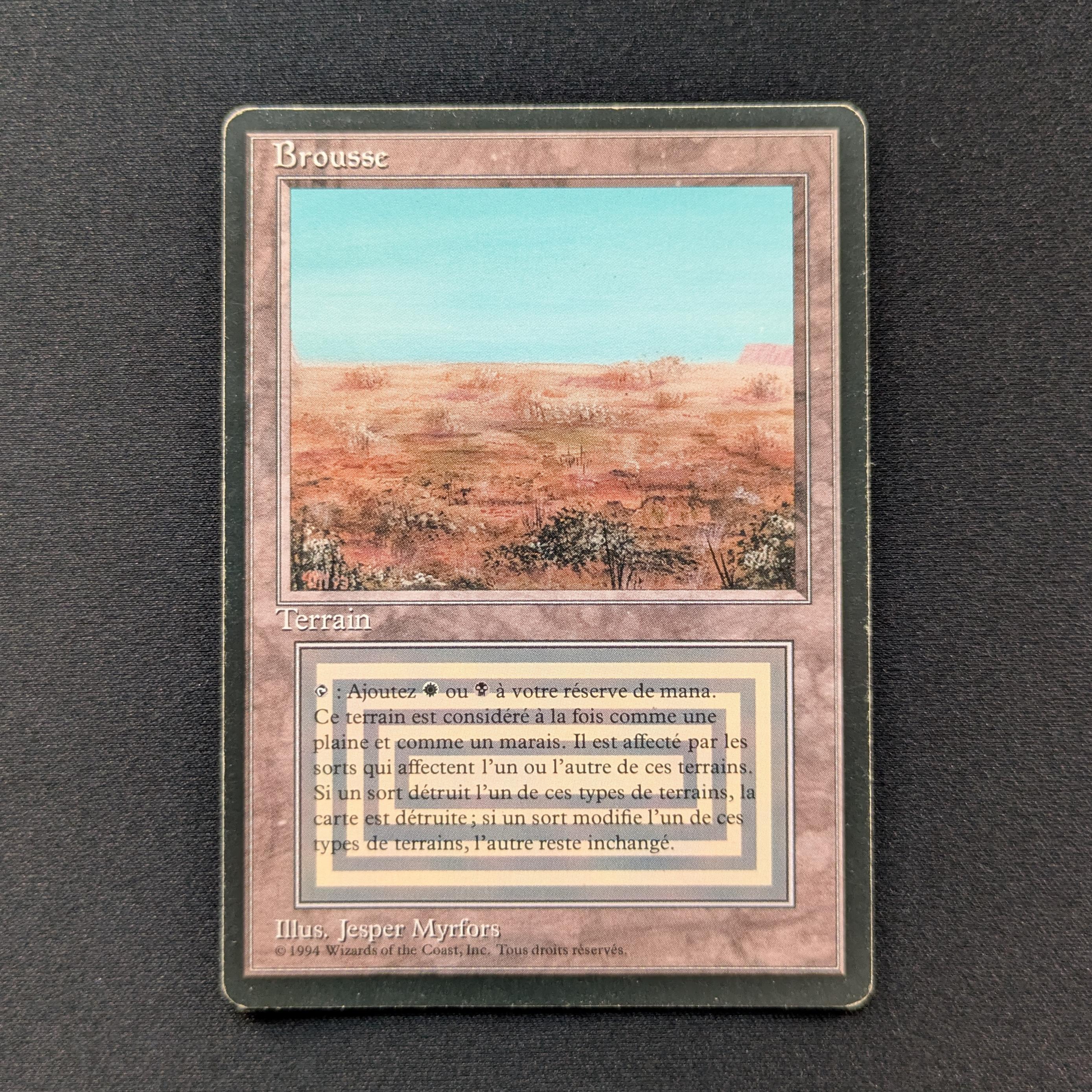 MTG Singles - Scrubland - Foreign Black Bordered - French - PL - 28823