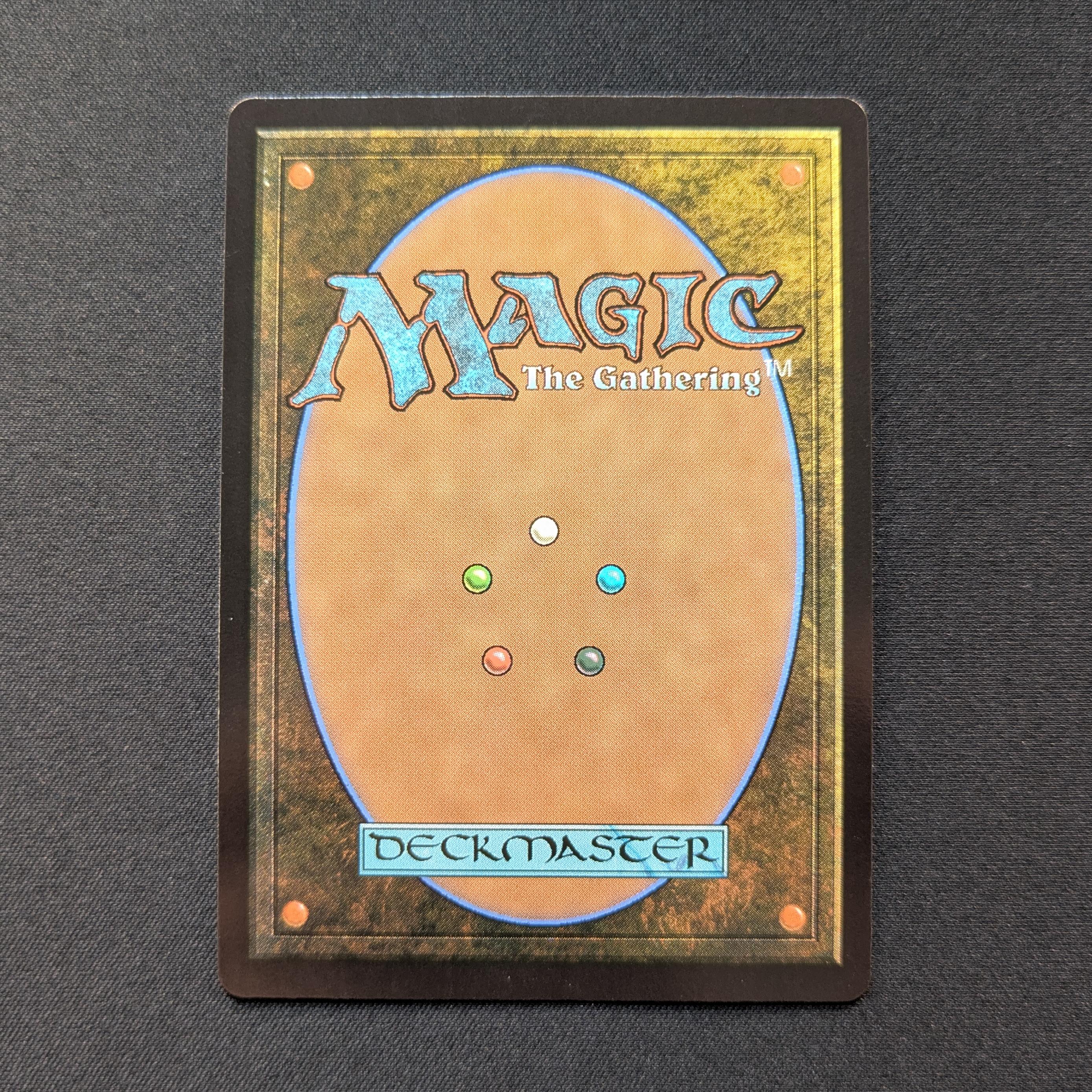 MTG Singles - [FOIL] Misty Rainforest (Dragonscale Foil) - Special Guests - NM - 