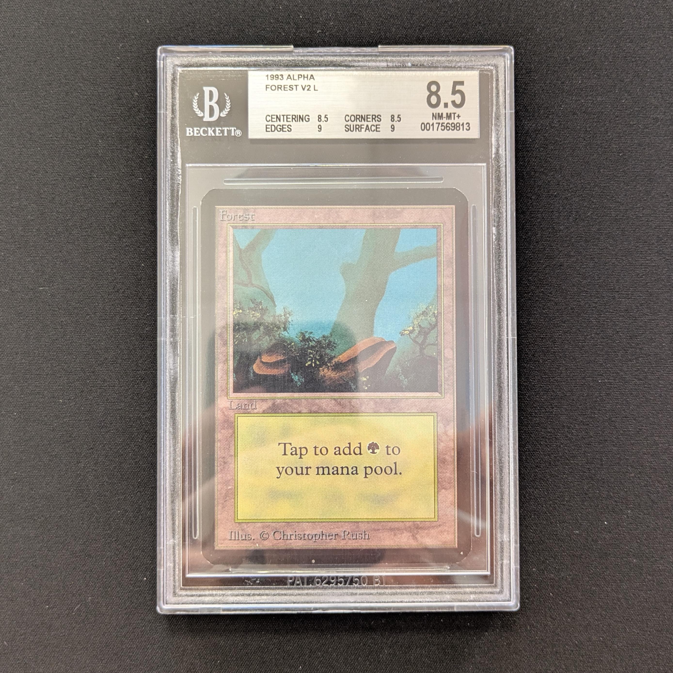 MTG Singles - Forest (V.2) - Alpha - BGS 8.5 - 