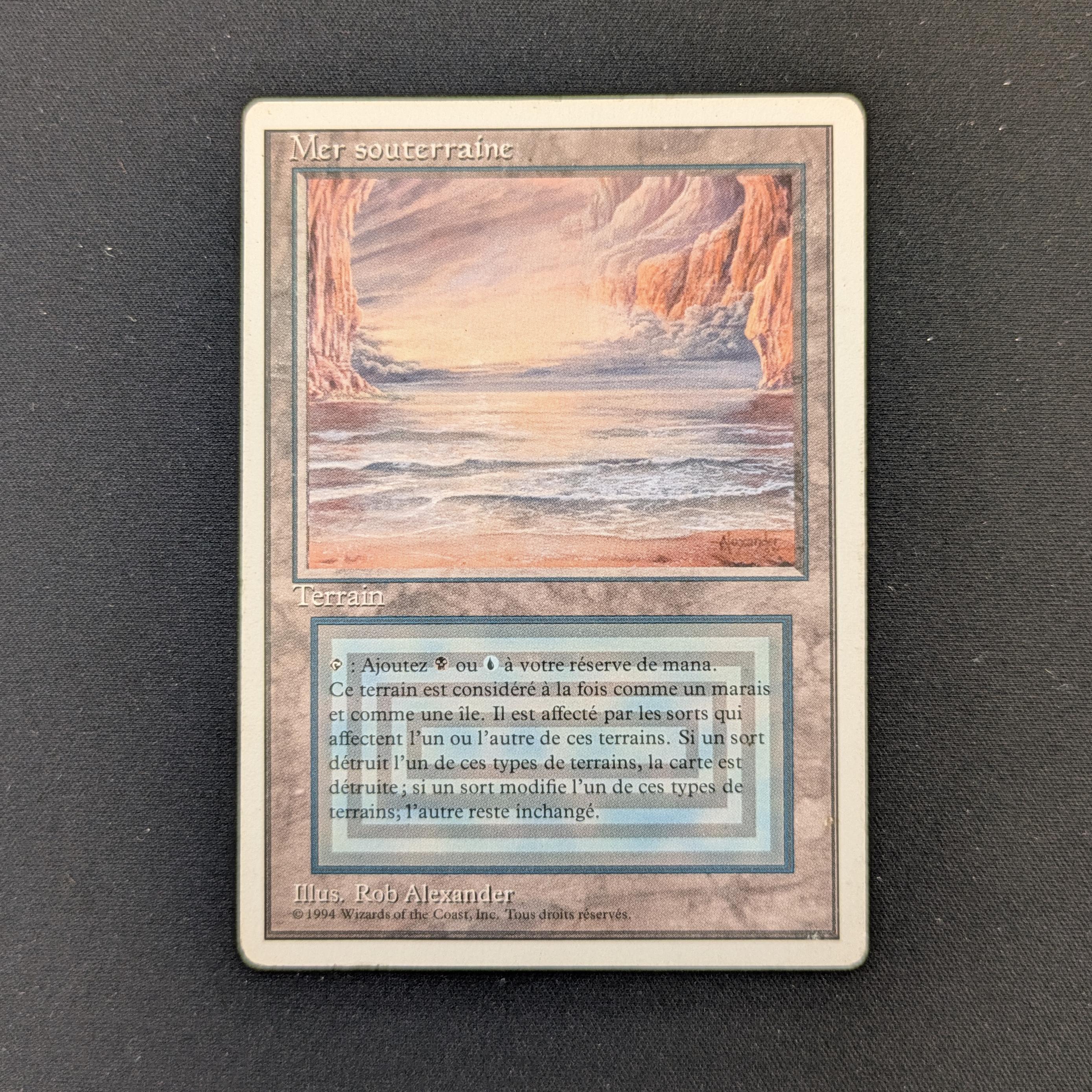 MTG Singles - Underground Sea - Foreign White Bordered - French - PL - 29137