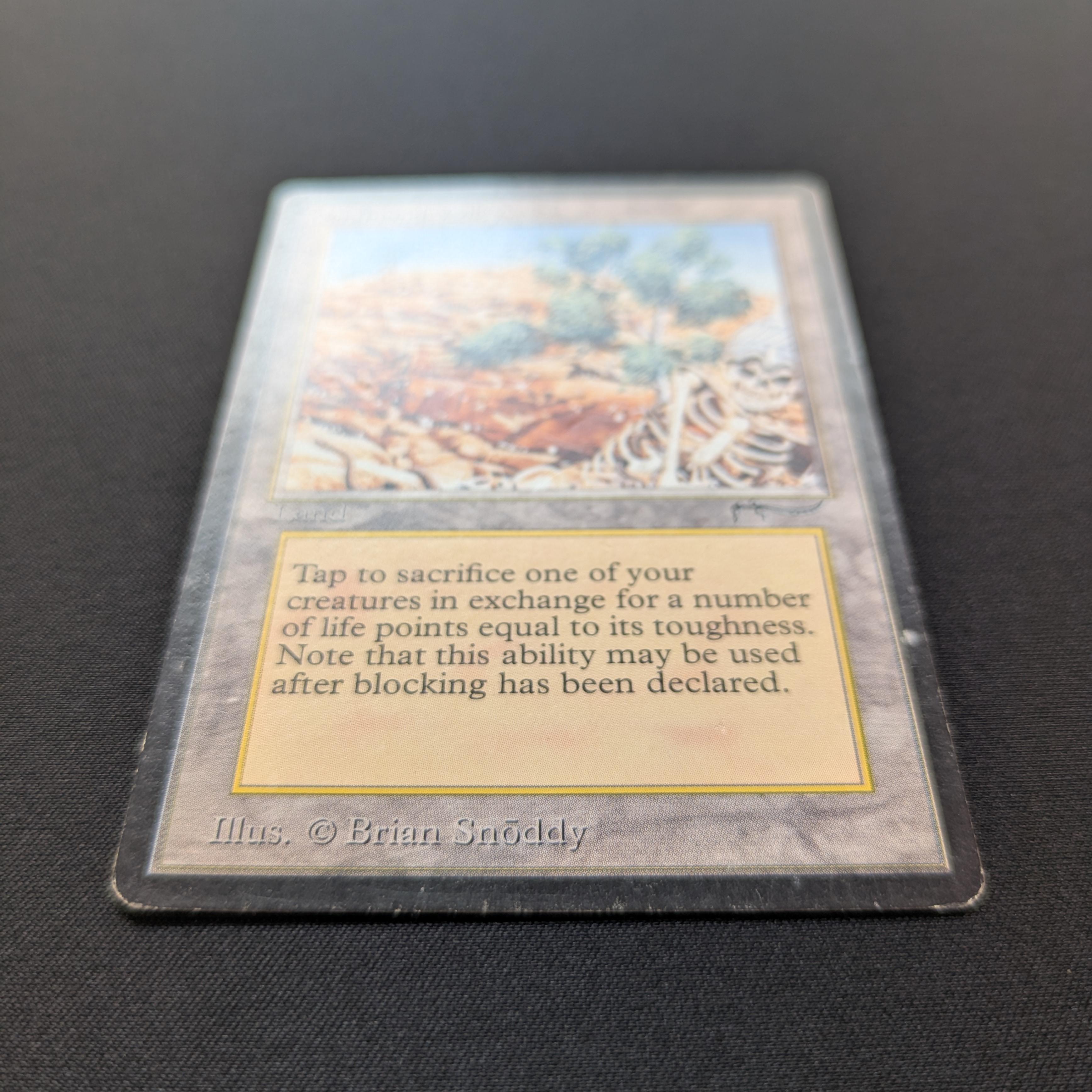 MTG Singles - Diamond Valley - Arabian Nights - 