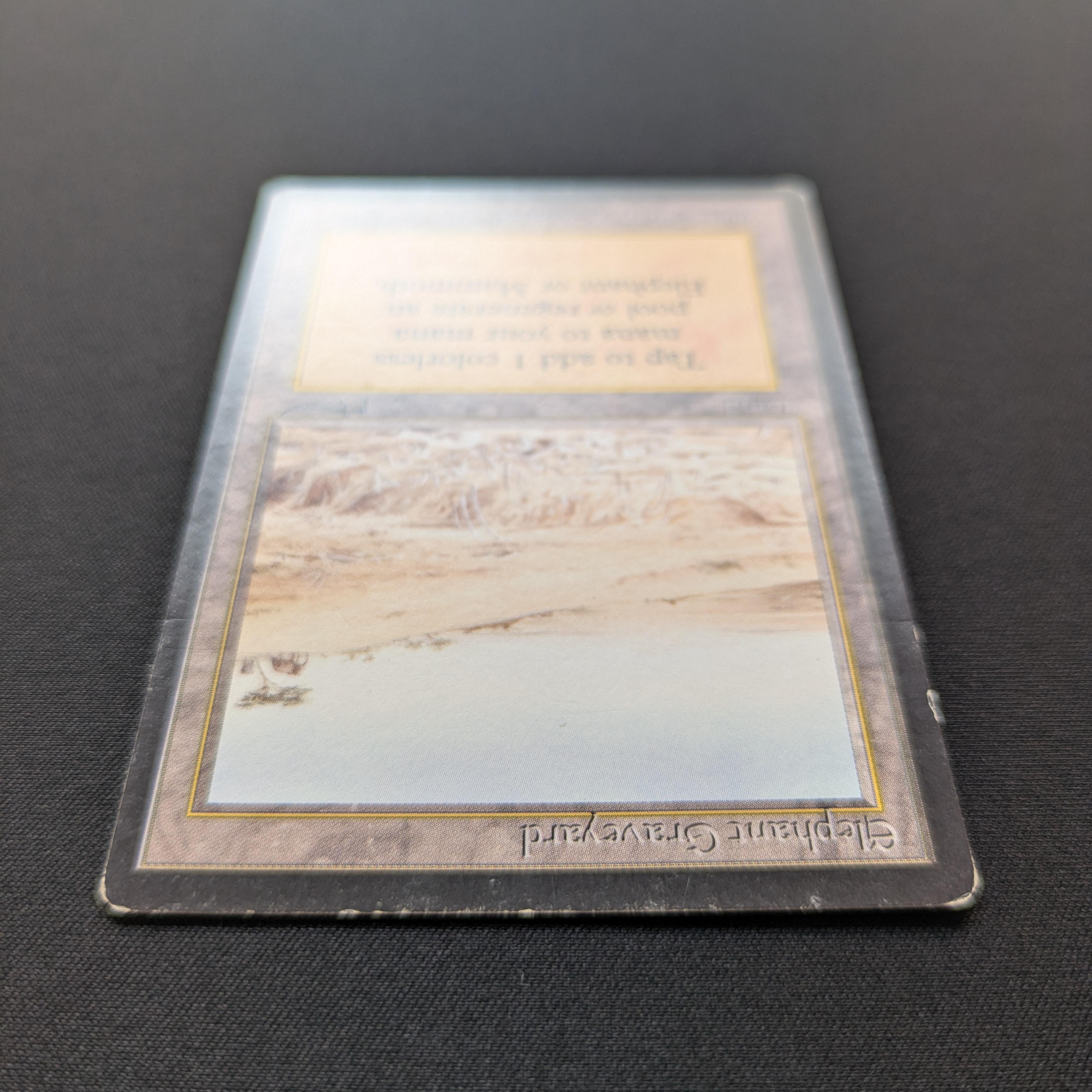 MTG Singles - Elephant Graveyard - Arabian Nights - 