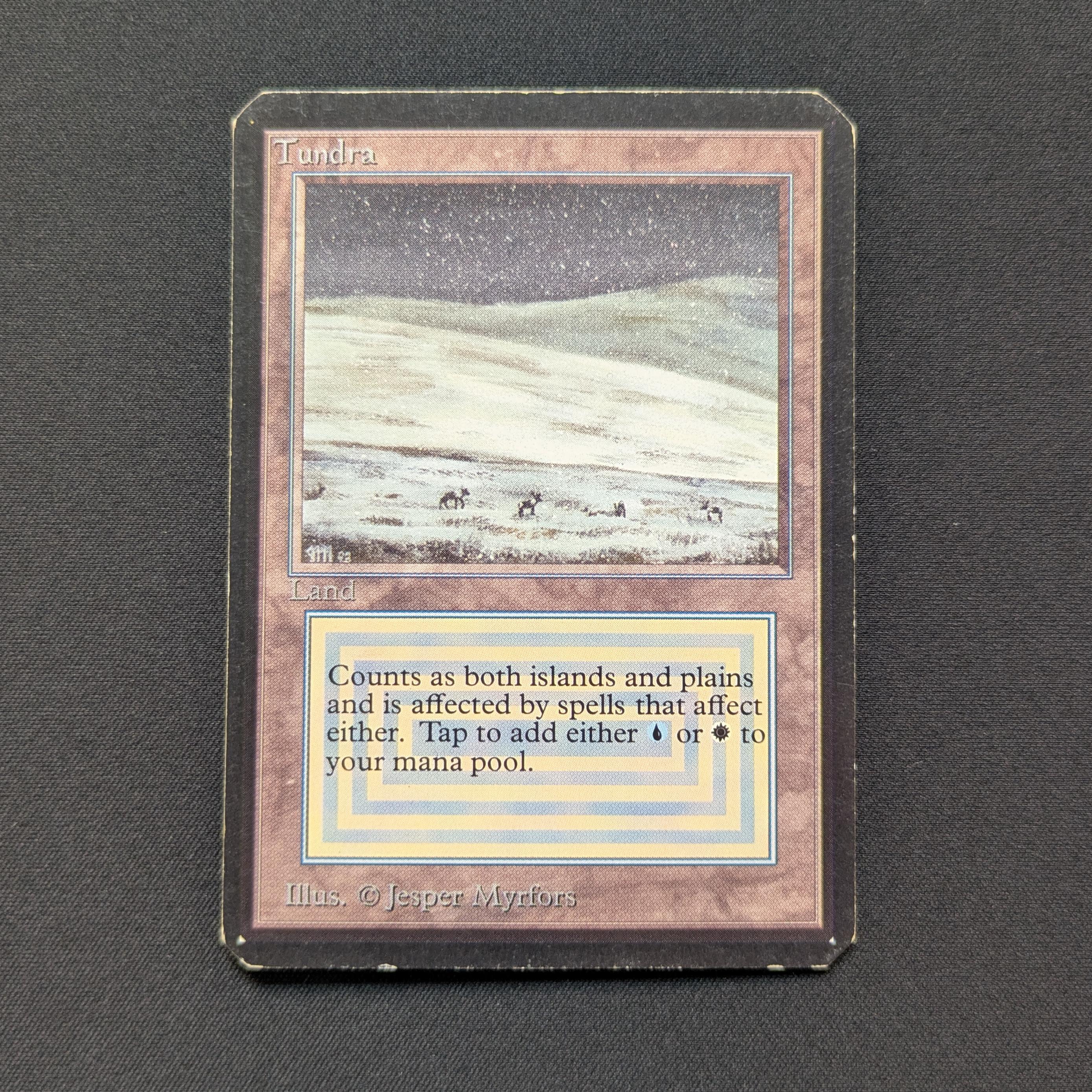 MTG Singles - Tundra - International Edition - 