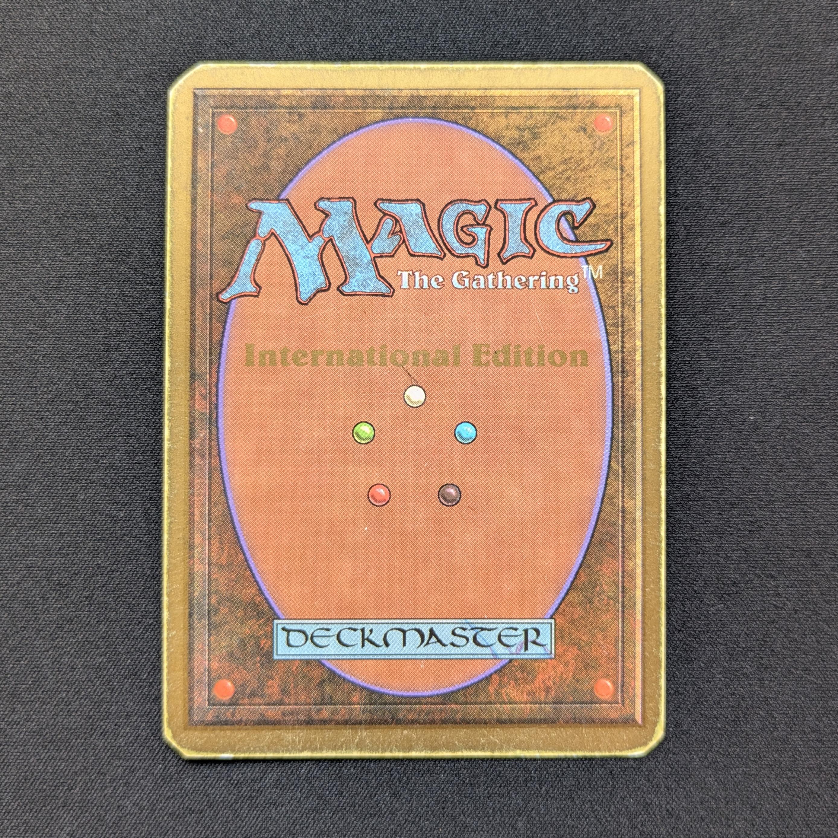 MTG Singles - Tundra - International Edition - 