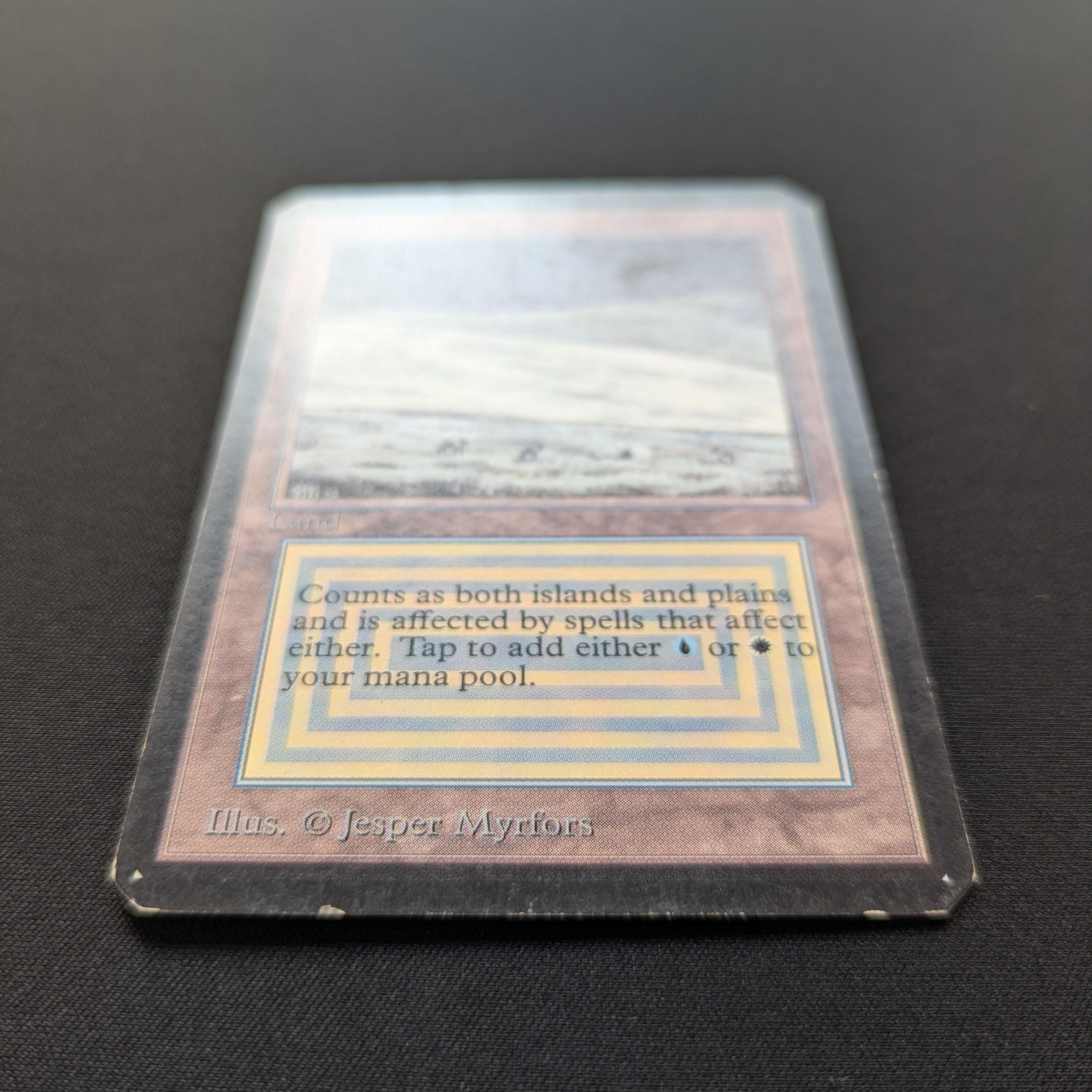 MTG Singles - Tundra - International Edition - 