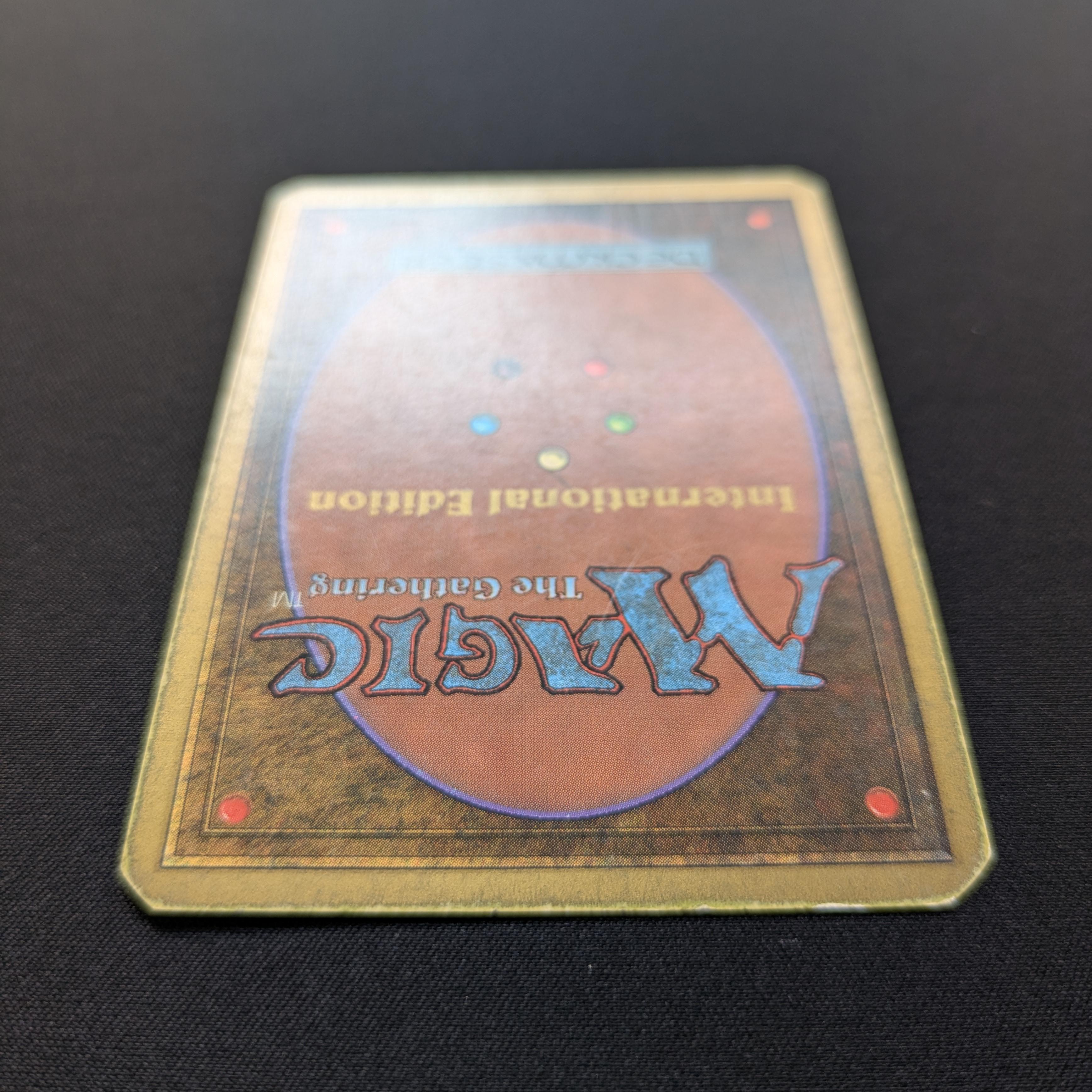 MTG Singles - Tundra - International Edition - 