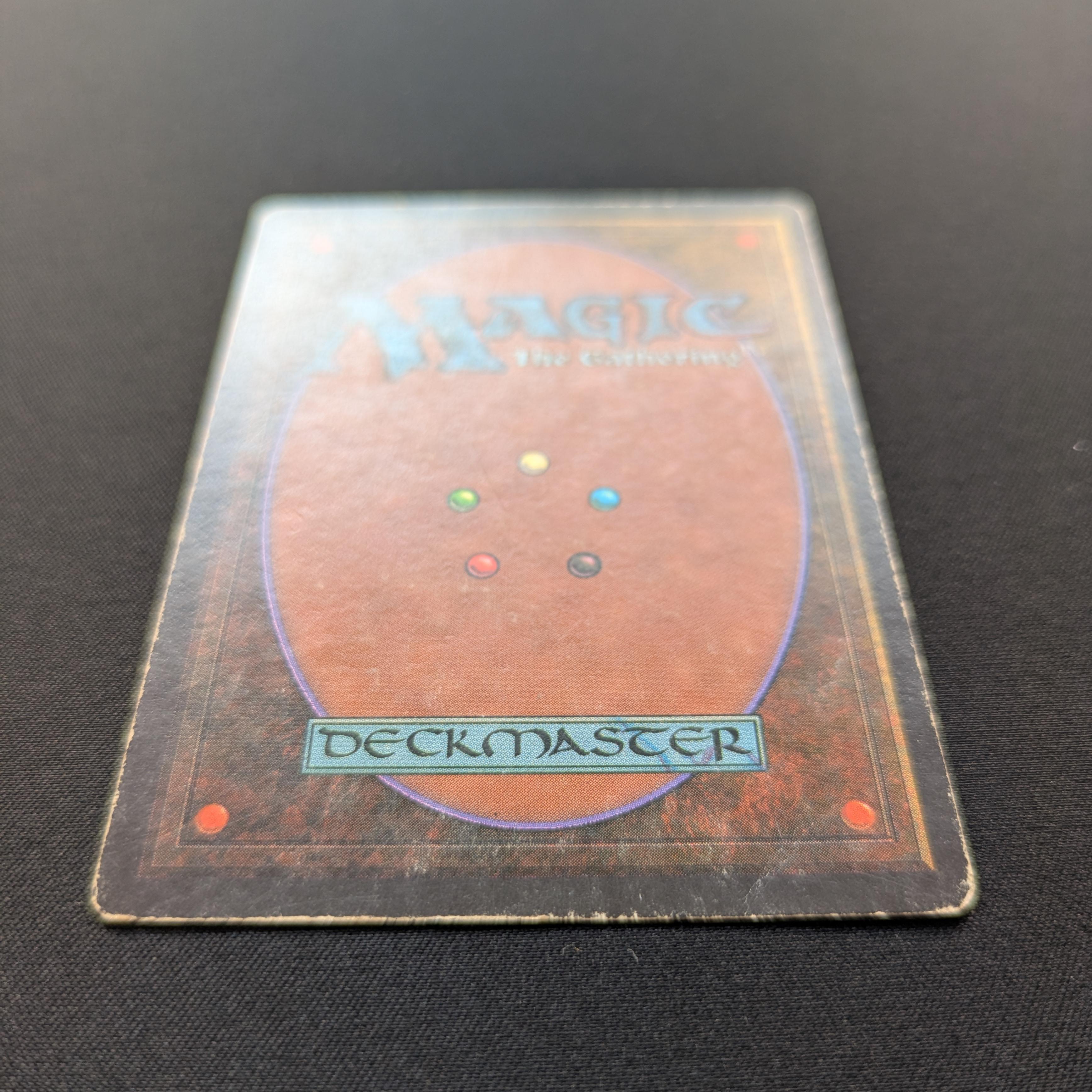 MTG Singles - Bayou - Revised - 