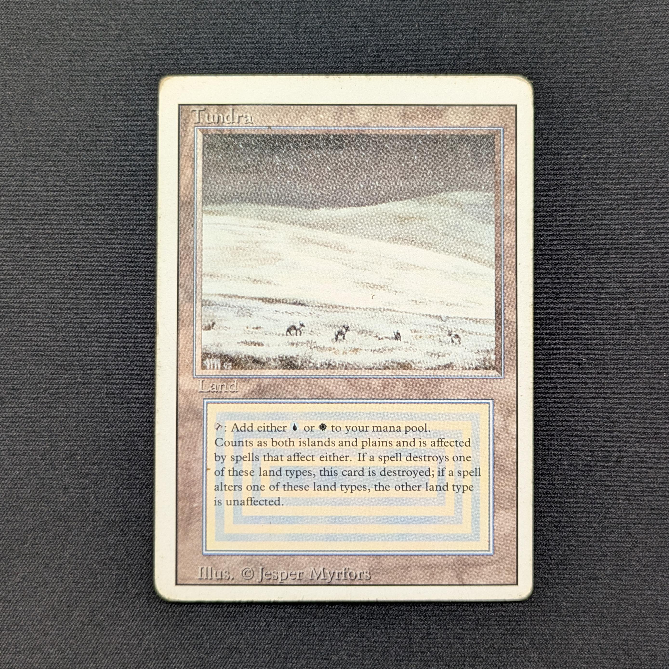 MTG Singles - Tundra - Revised - 