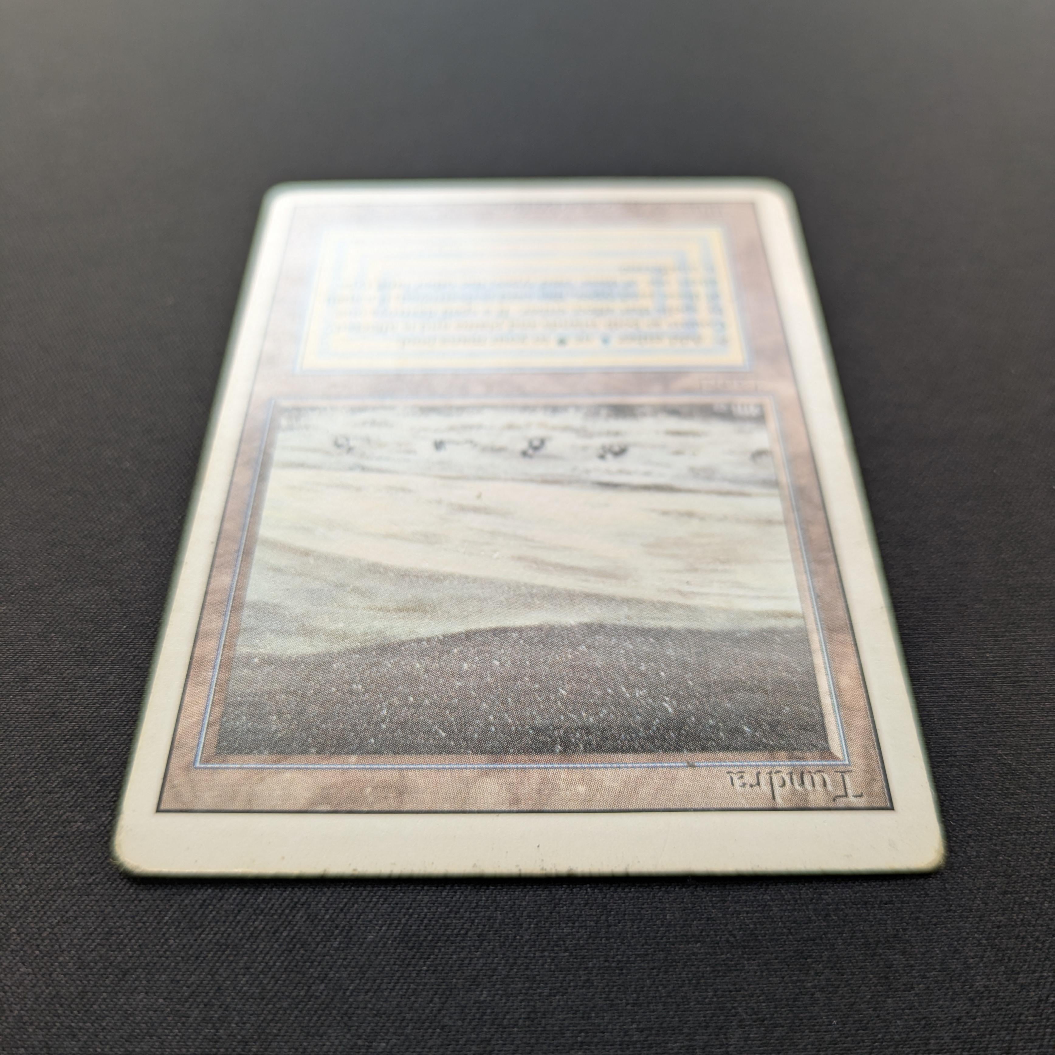 MTG Singles - Tundra - Revised - 