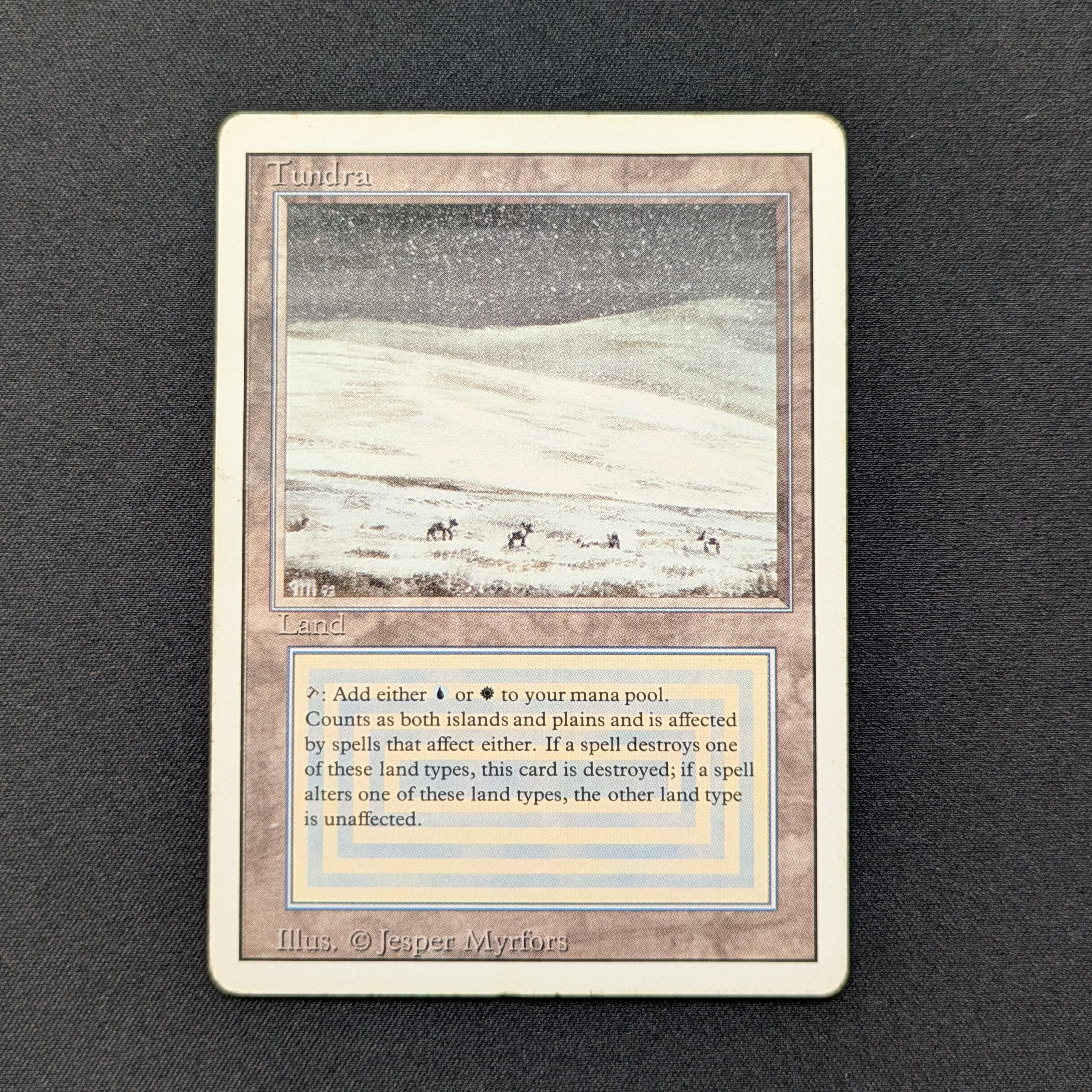MTG Singles - Tundra - Revised - 