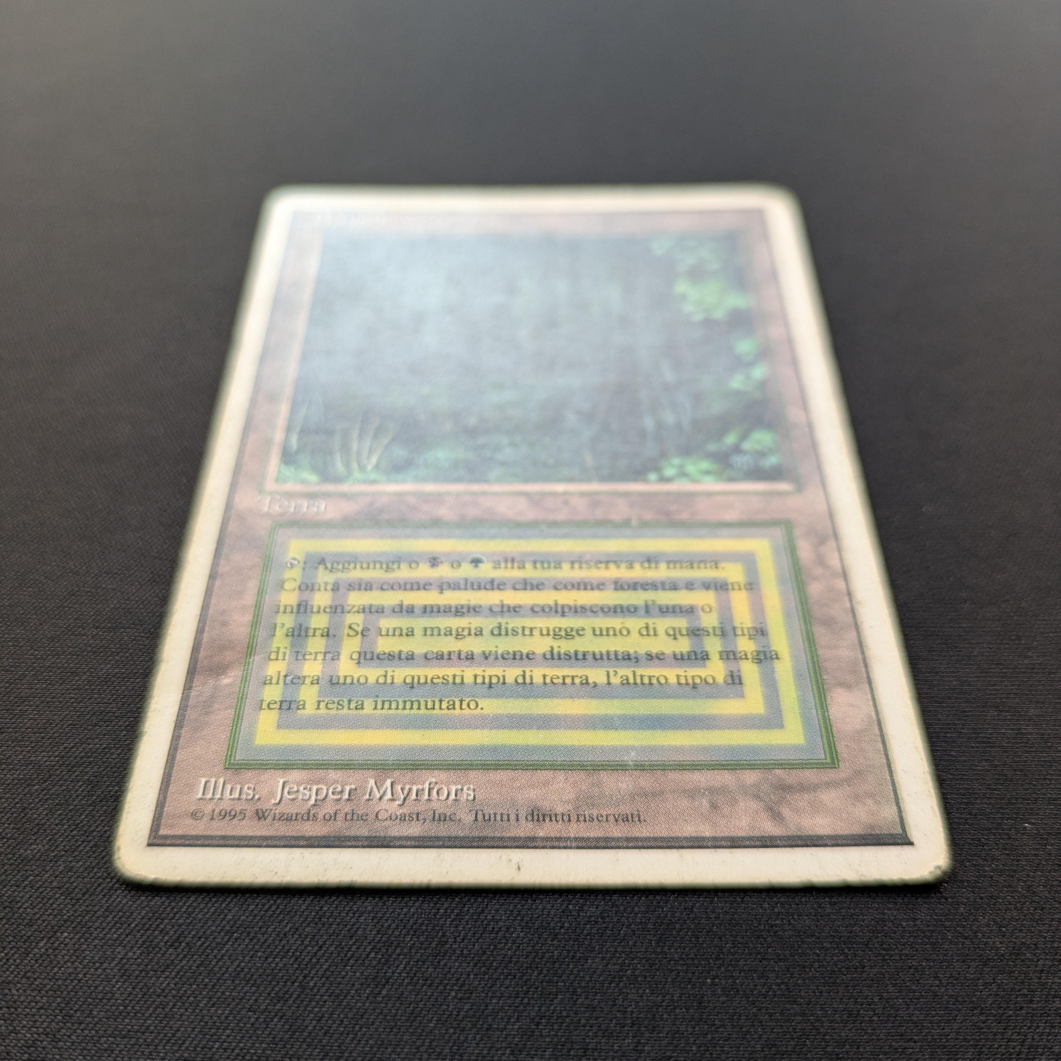 MTG Singles - Bayou - Foreign White Bordered - 