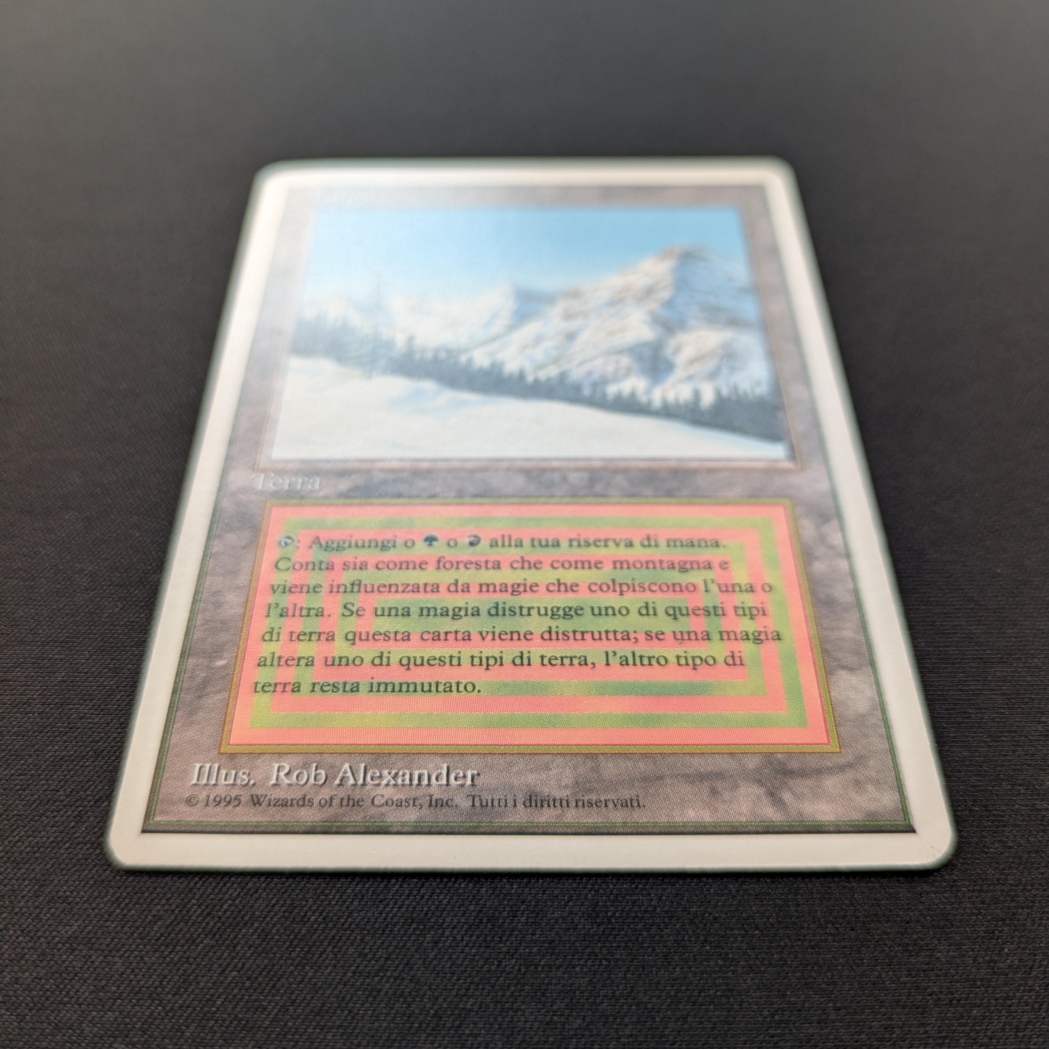 MTG Singles - Taiga - Foreign White Bordered - 