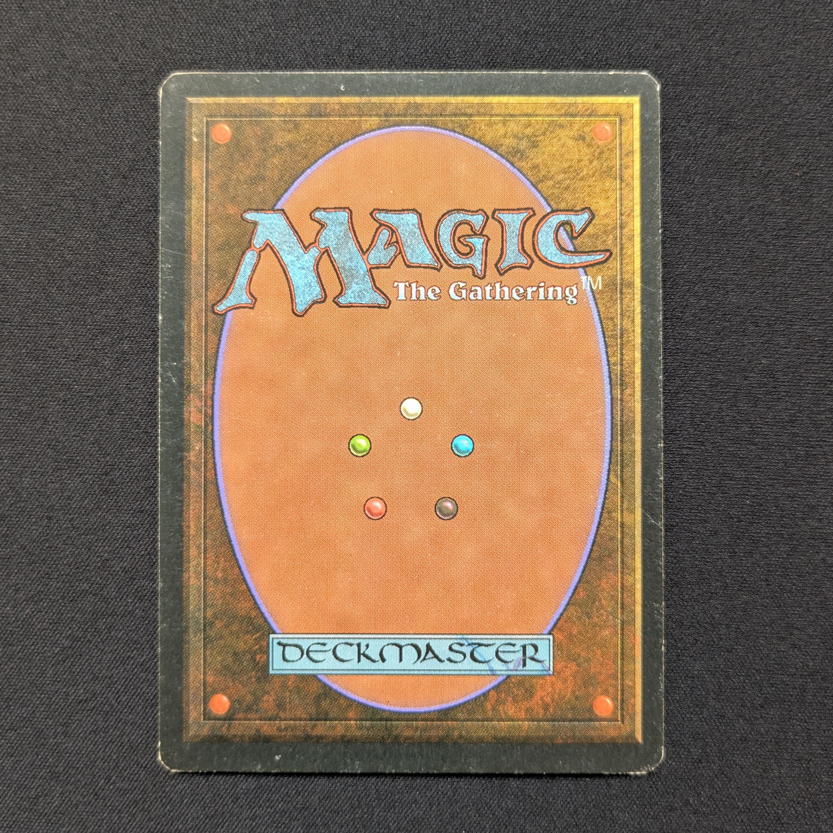 MTG Singles - Taiga - Foreign White Bordered - 