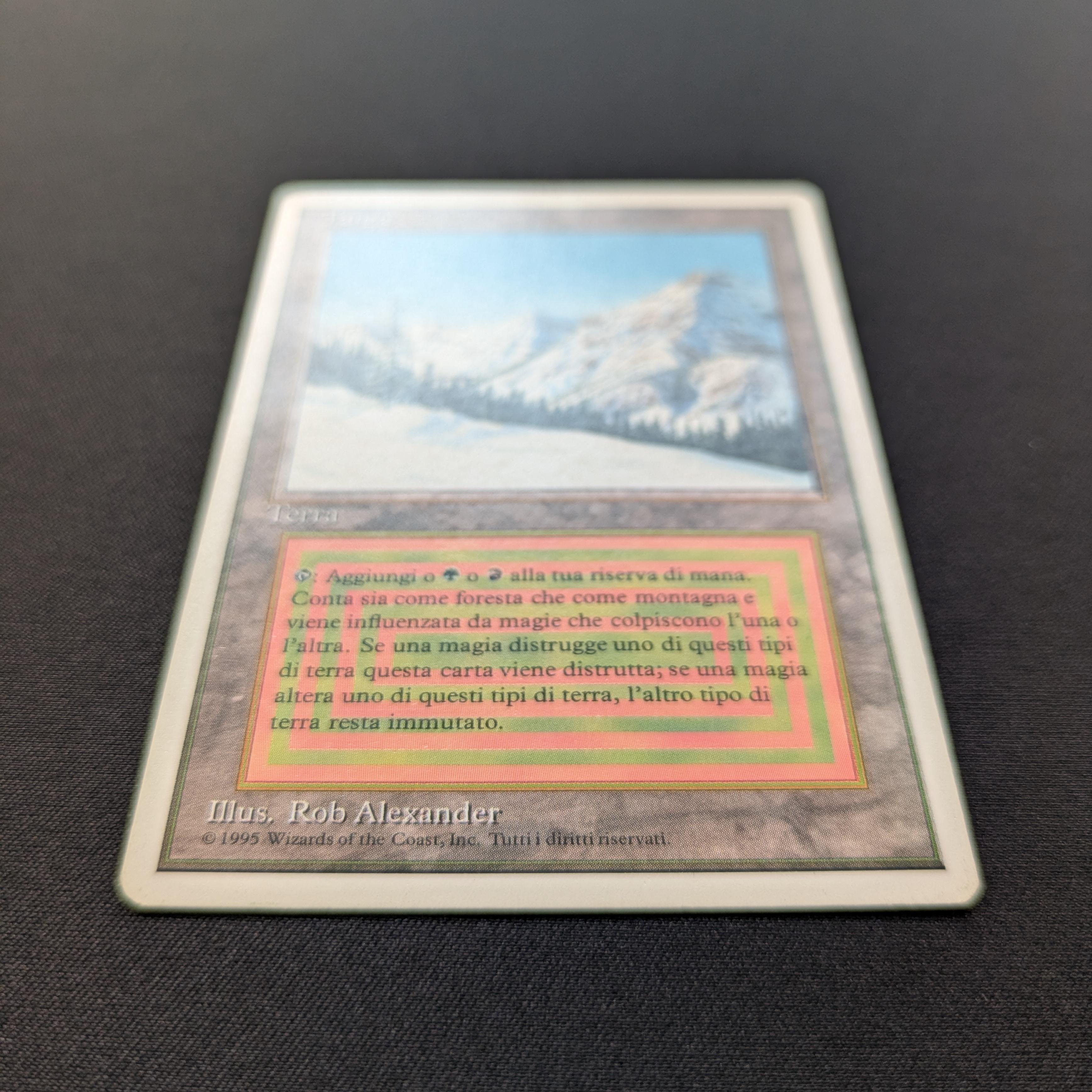 MTG Singles - Taiga - Foreign White Bordered - 
