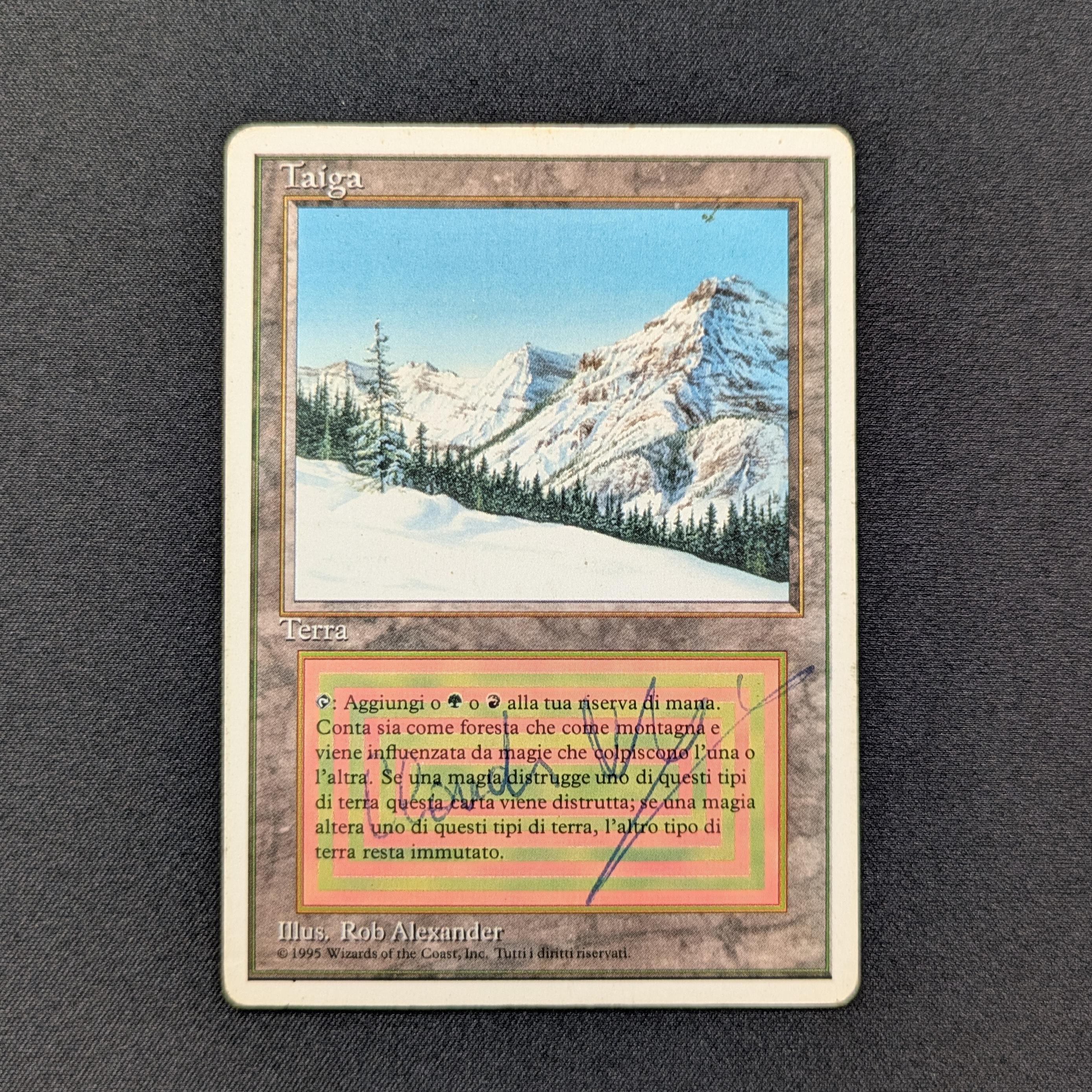MTG Singles - Taiga - Foreign White Bordered - 