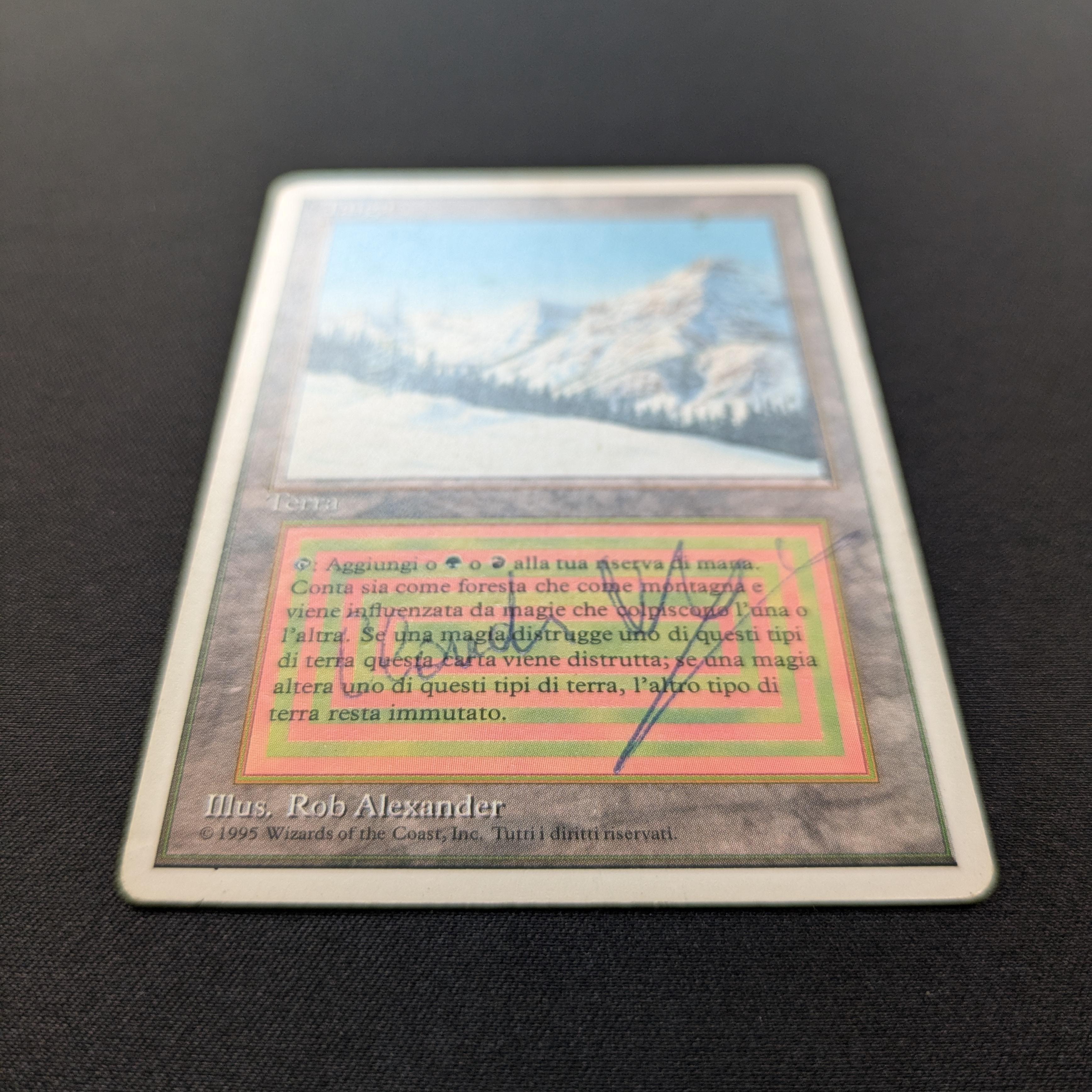 MTG Singles - Taiga - Foreign White Bordered - 