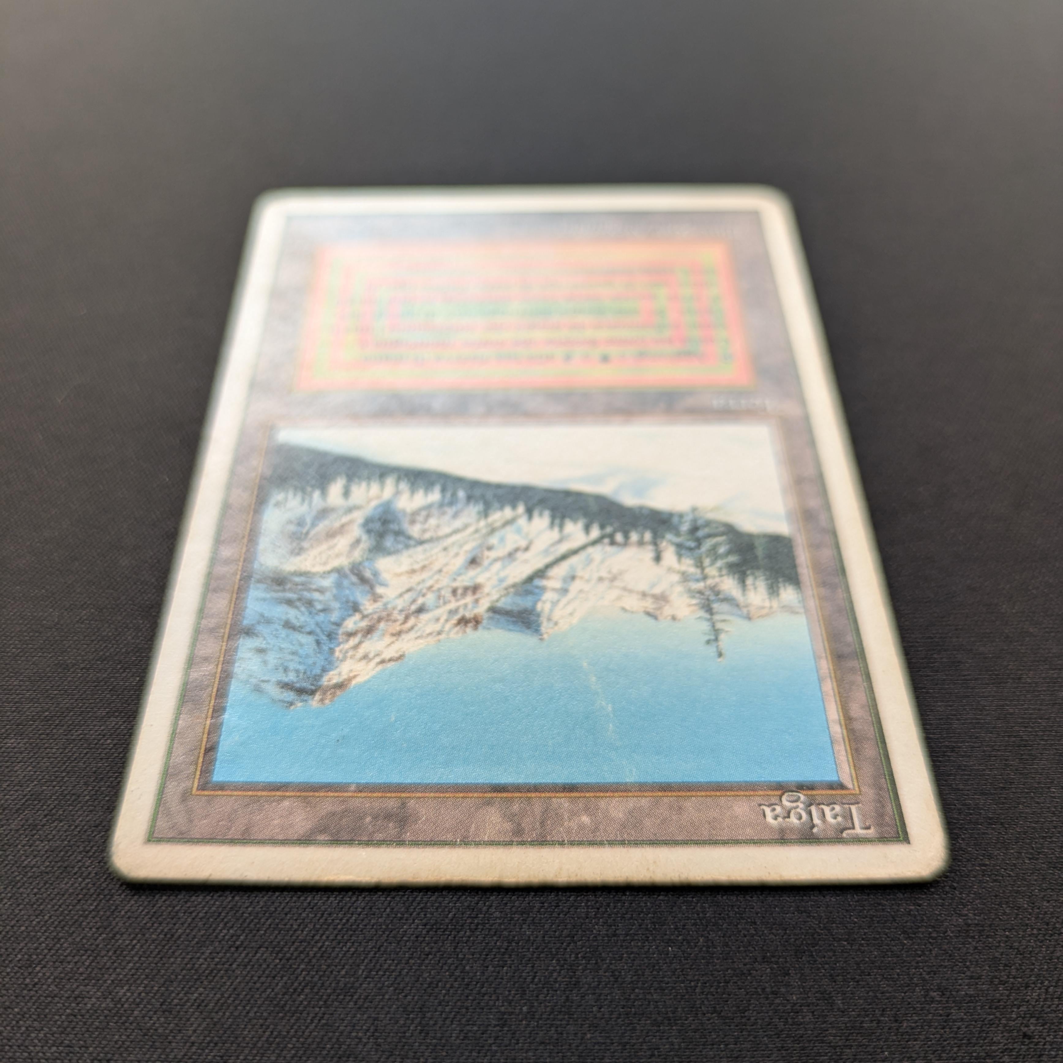MTG Singles - Taiga - Foreign White Bordered - 