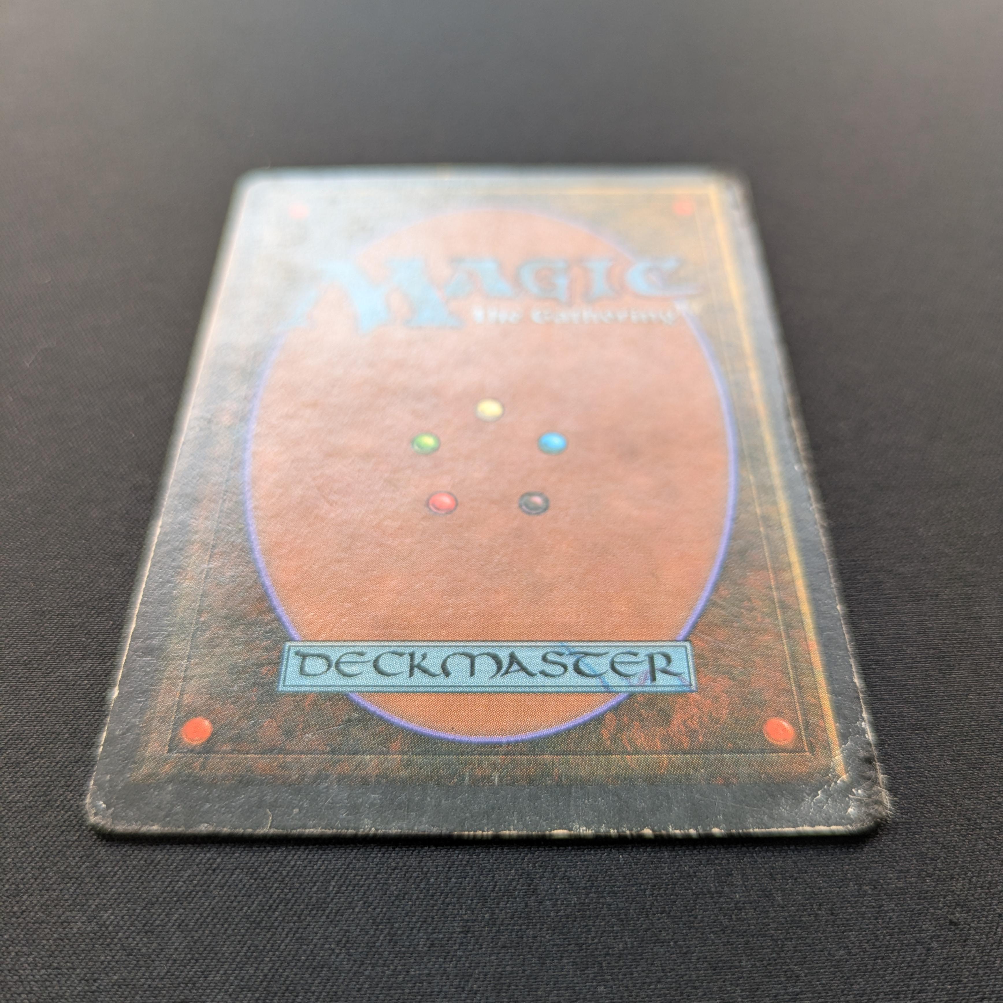 MTG Singles - Taiga - Foreign White Bordered - 