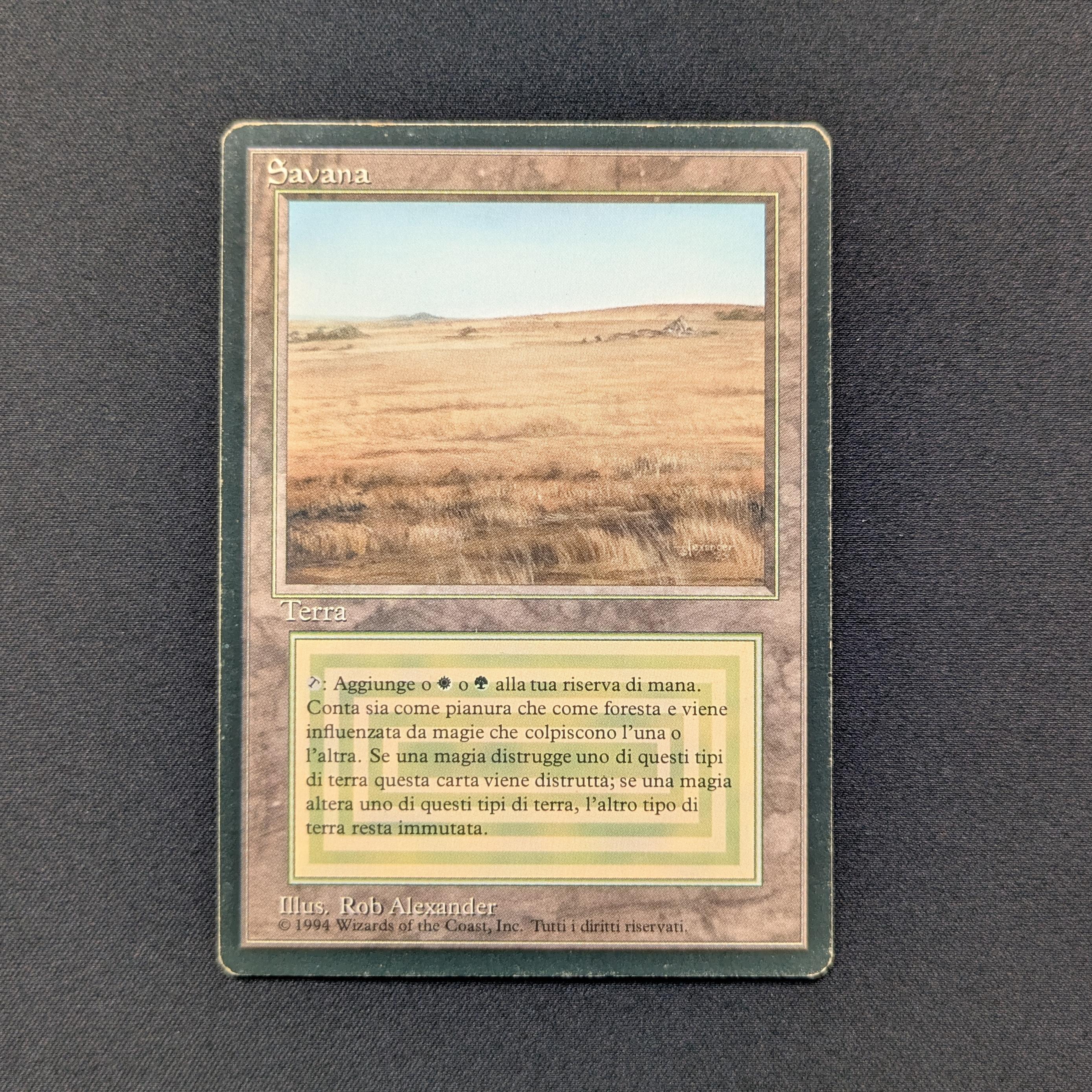Savannah - Foreign Black Bordered