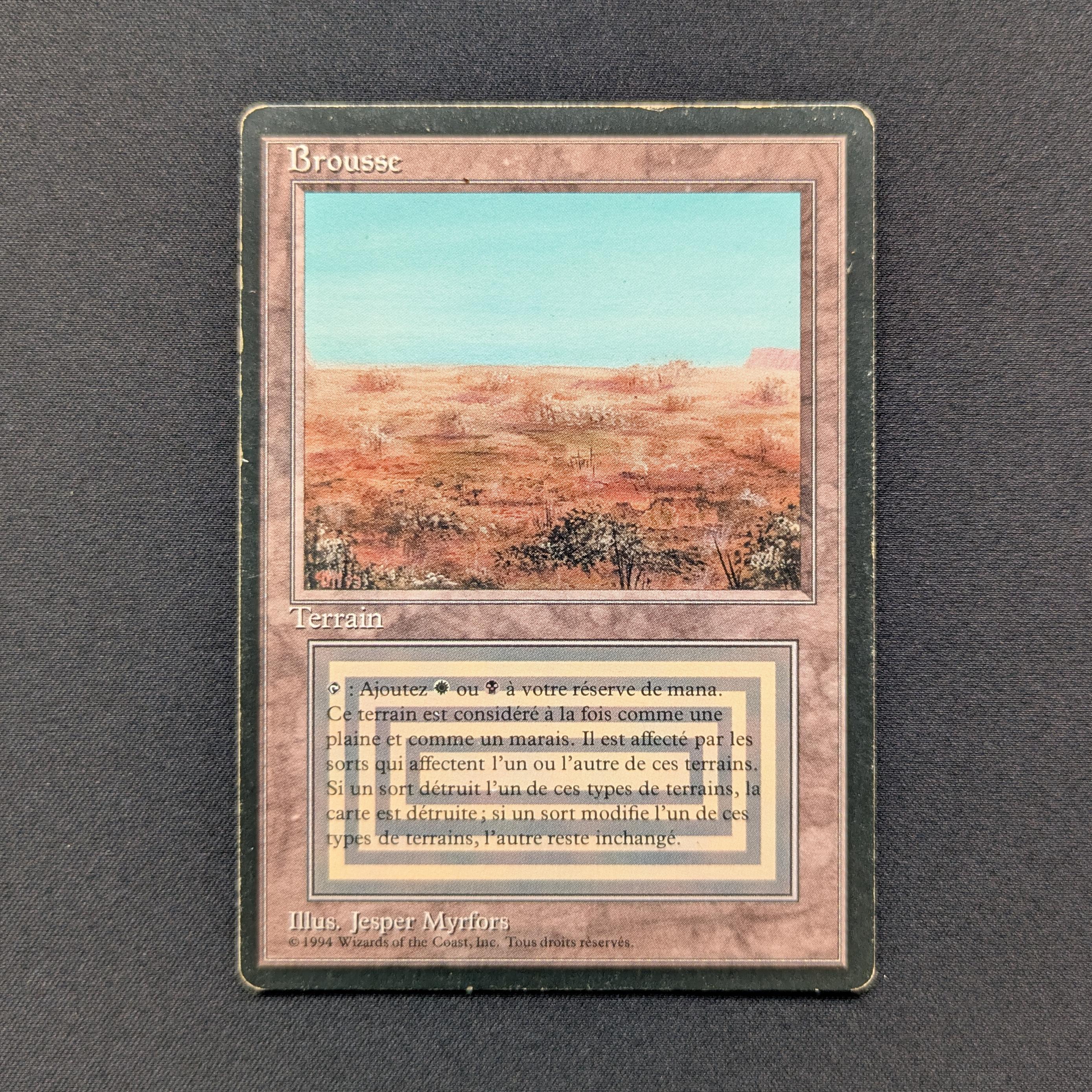 MTG Singles - Scrubland - Foreign Black Bordered - 
