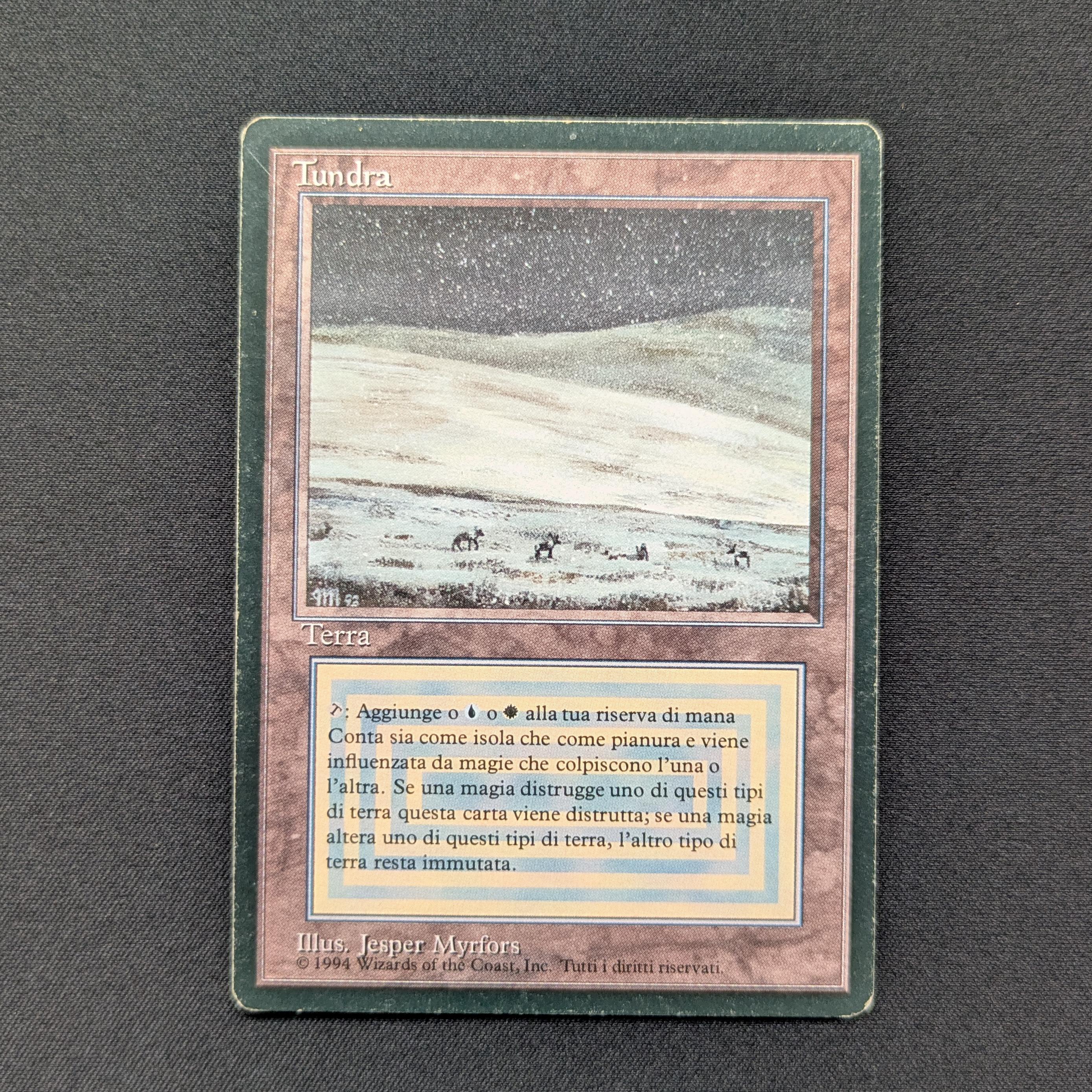 MTG Singles - Tundra - Foreign Black Bordered - 