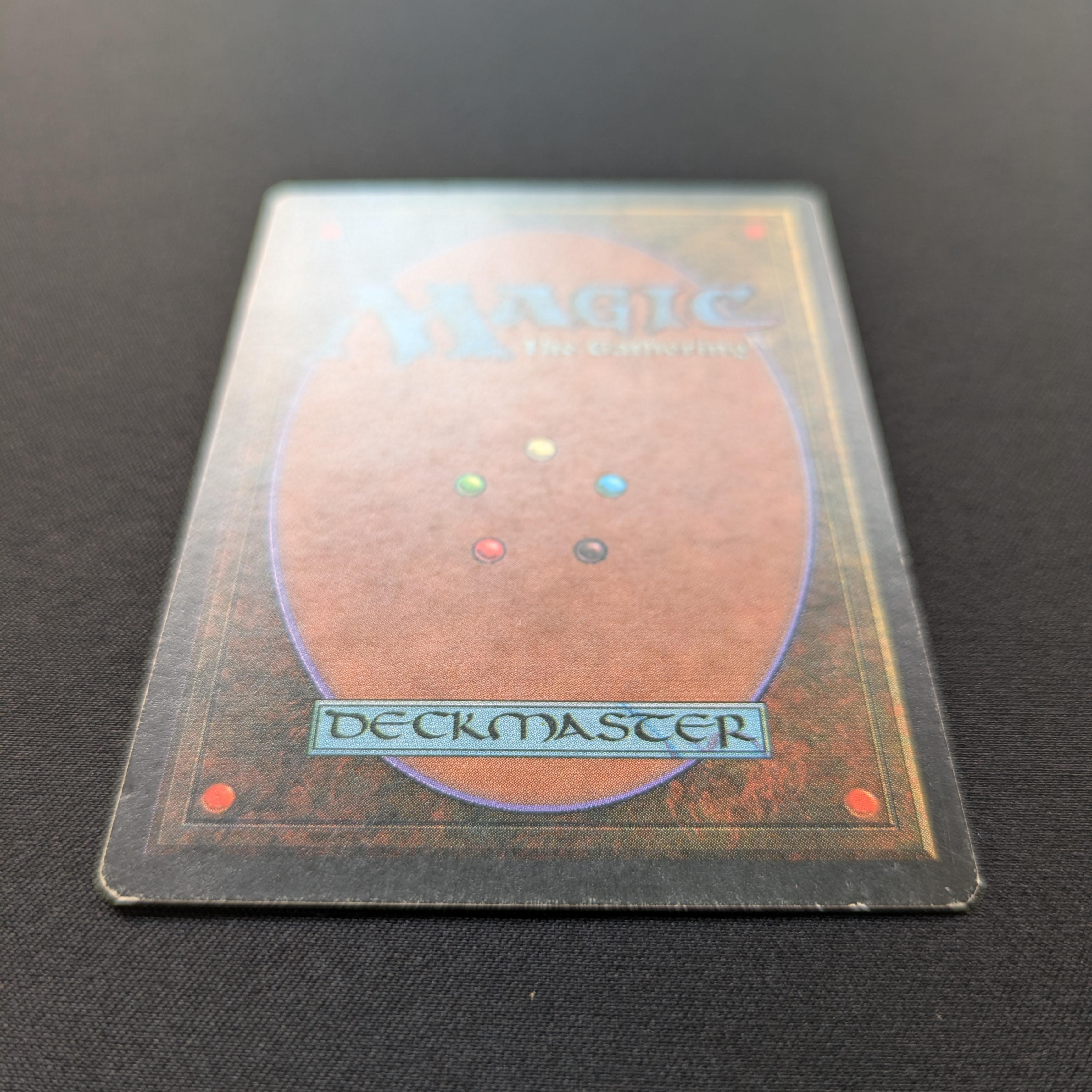 MTG Singles - Tundra - Foreign Black Bordered - 