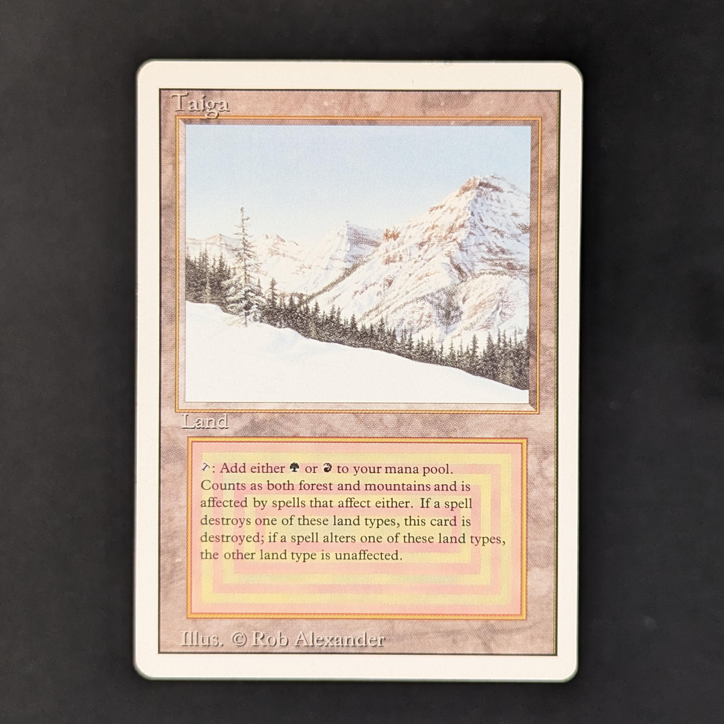 MTG Taiga 【公式通販】