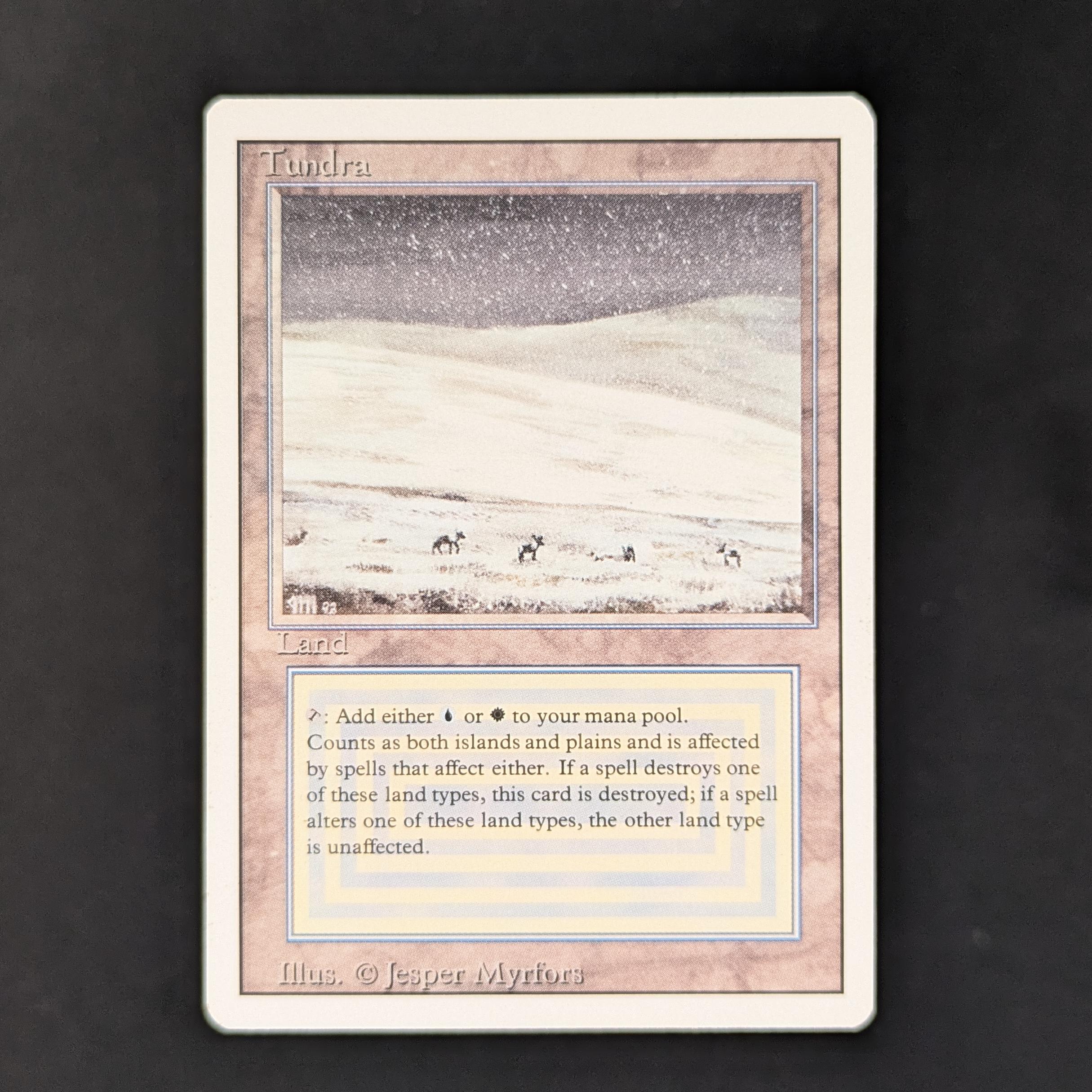 MTG Singles - Tundra - Revised - 