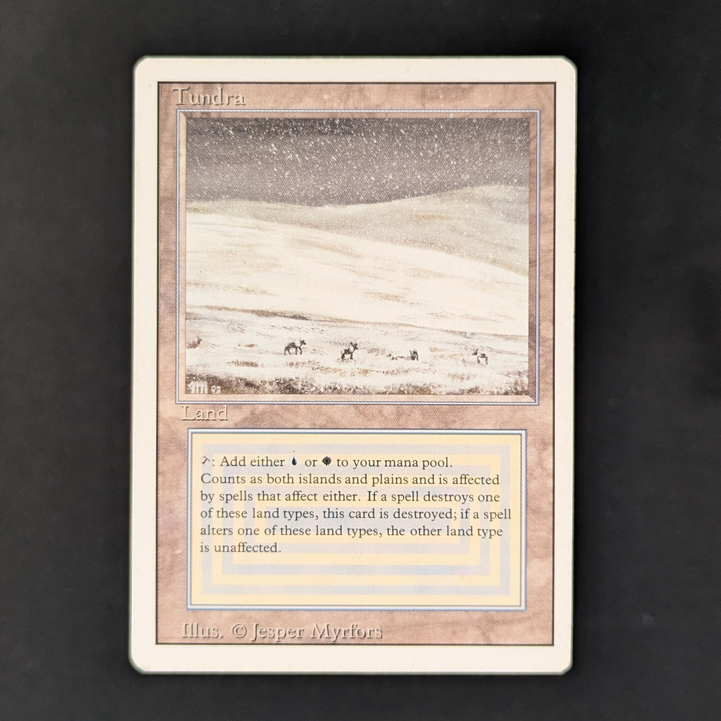 マジック：ザ・ギャザリング Tundra 3ED Revised Tundra - Revised