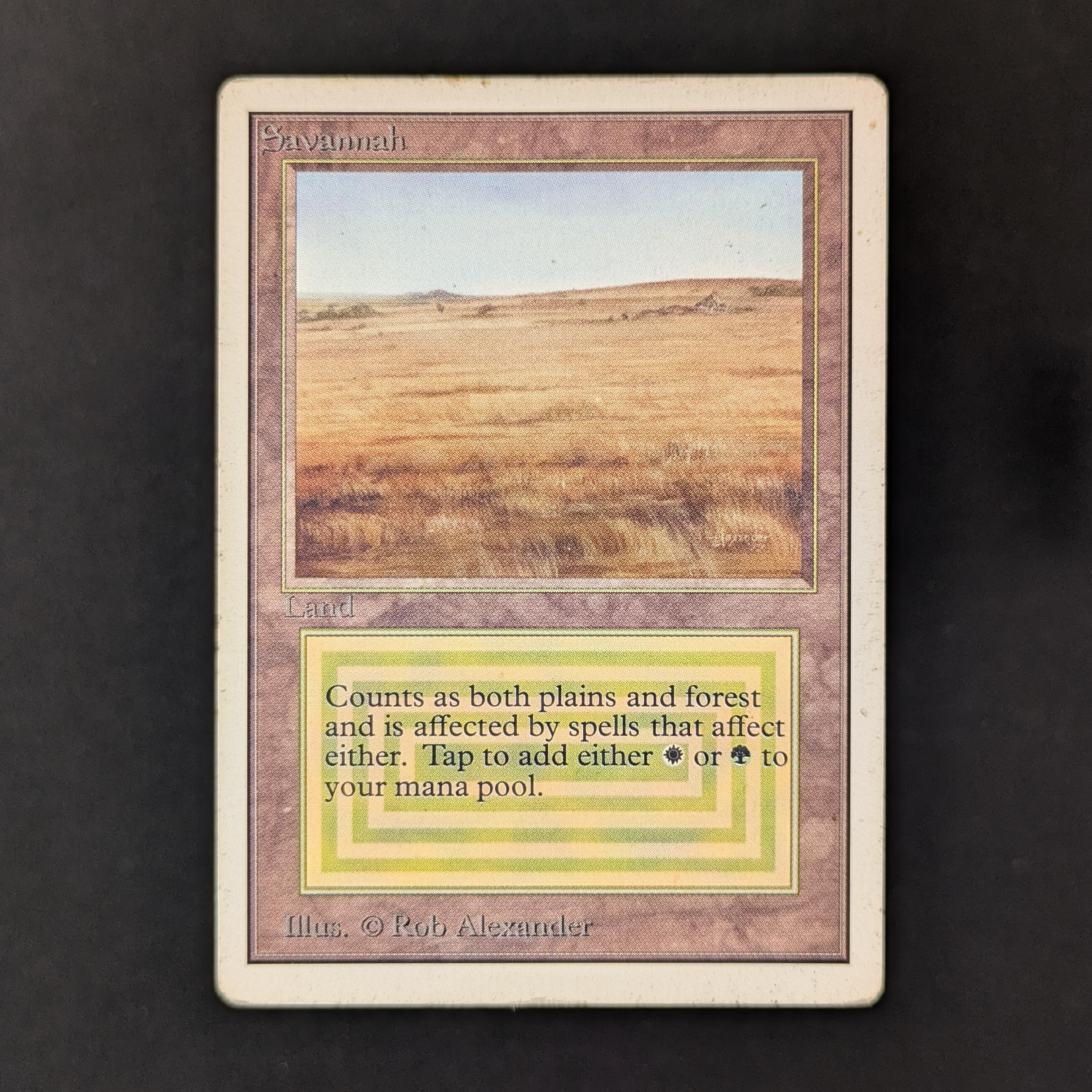 MTG Singles - Savannah - Unlimited - 