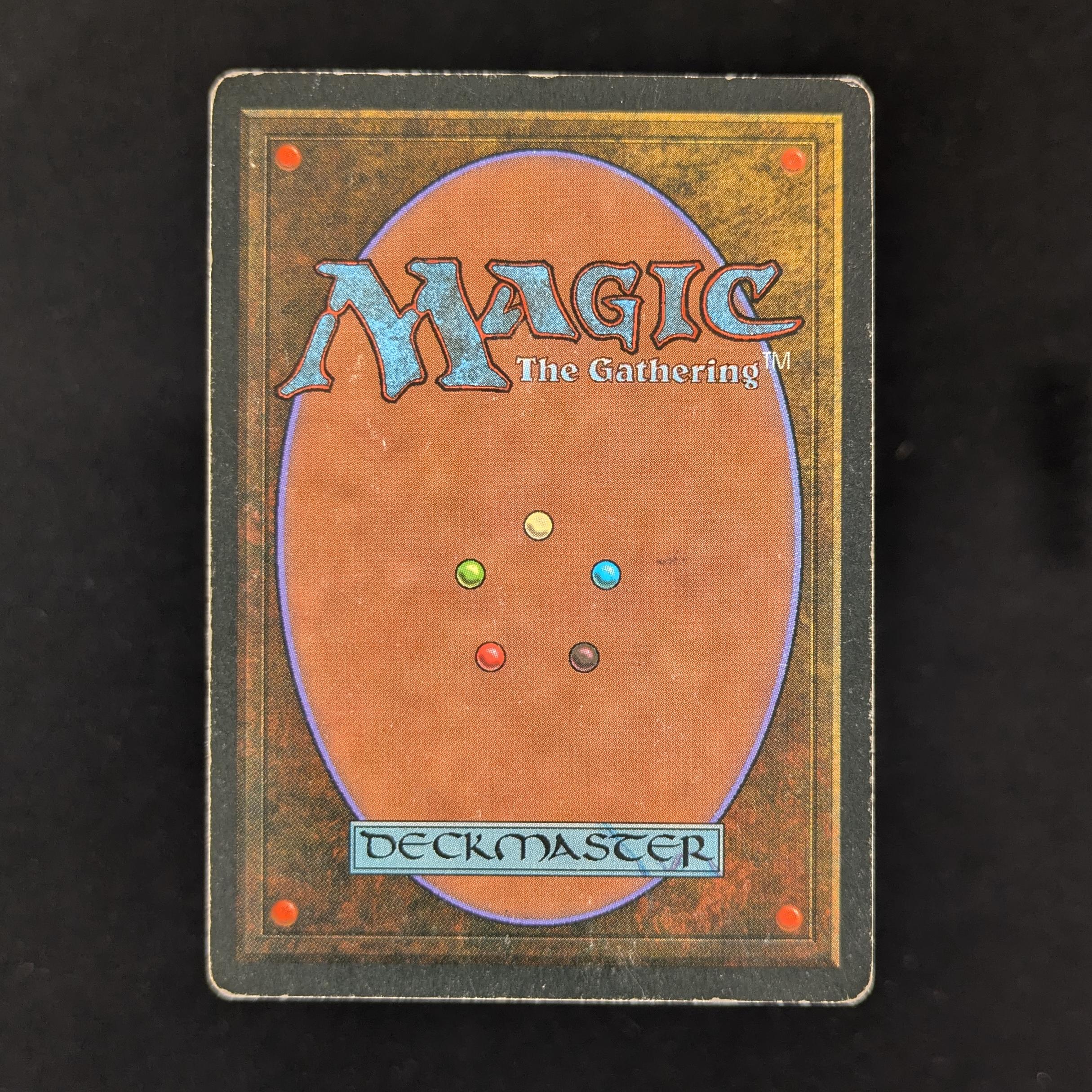 MTG Singles - Taiga - Revised - 