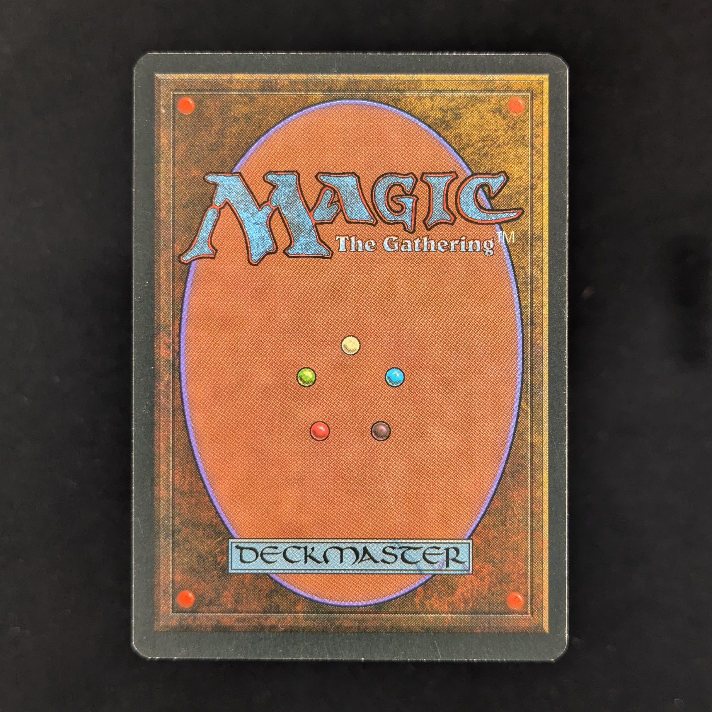 MTG Singles - Taiga - Foreign White Bordered - 