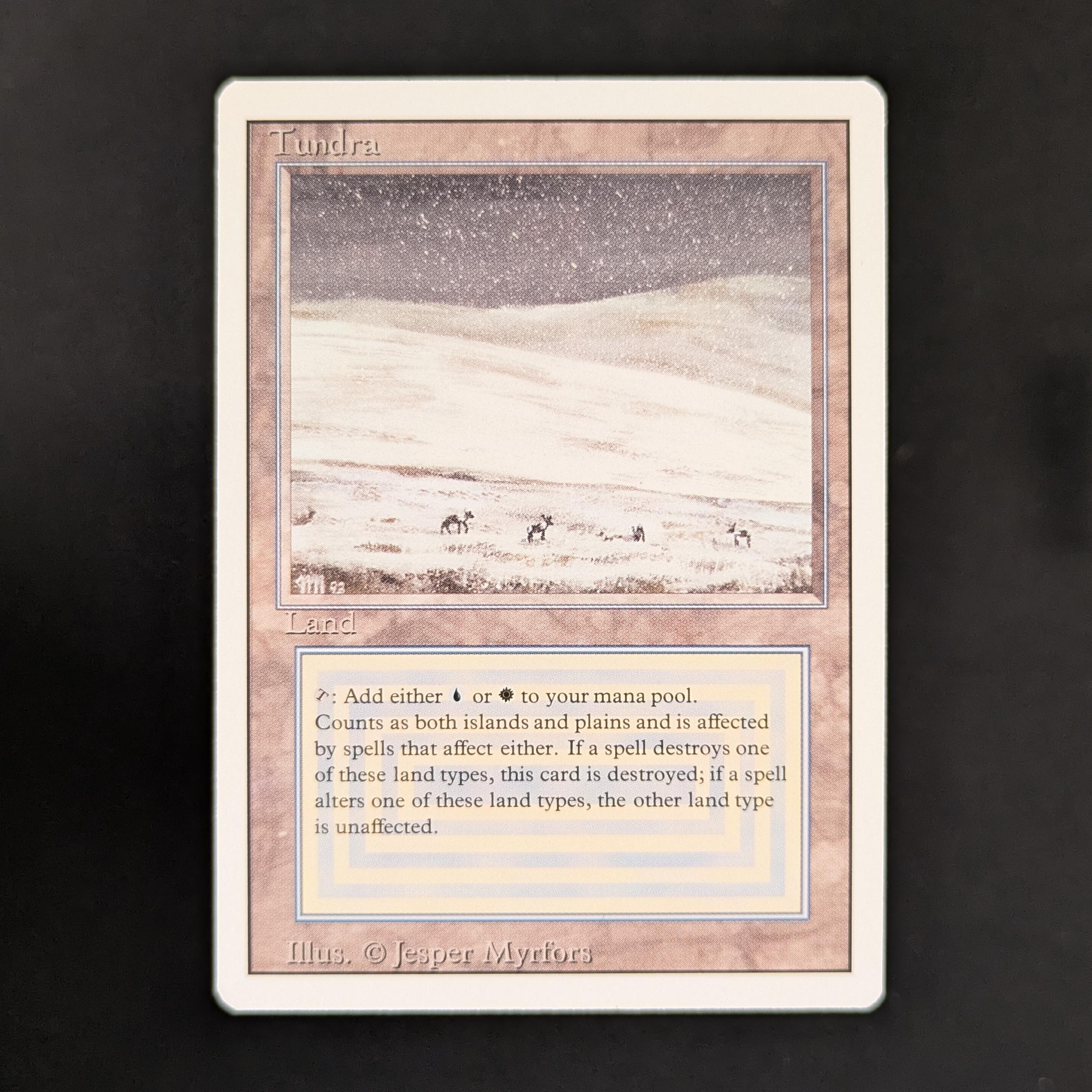MTG Singles - Tundra - Revised - 