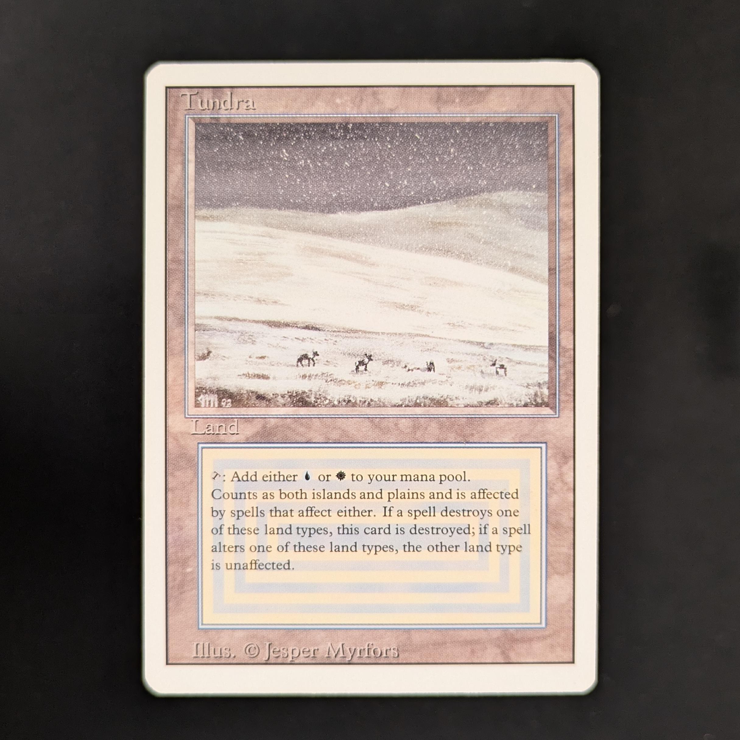 MTG Singles - Tundra - Revised - 
