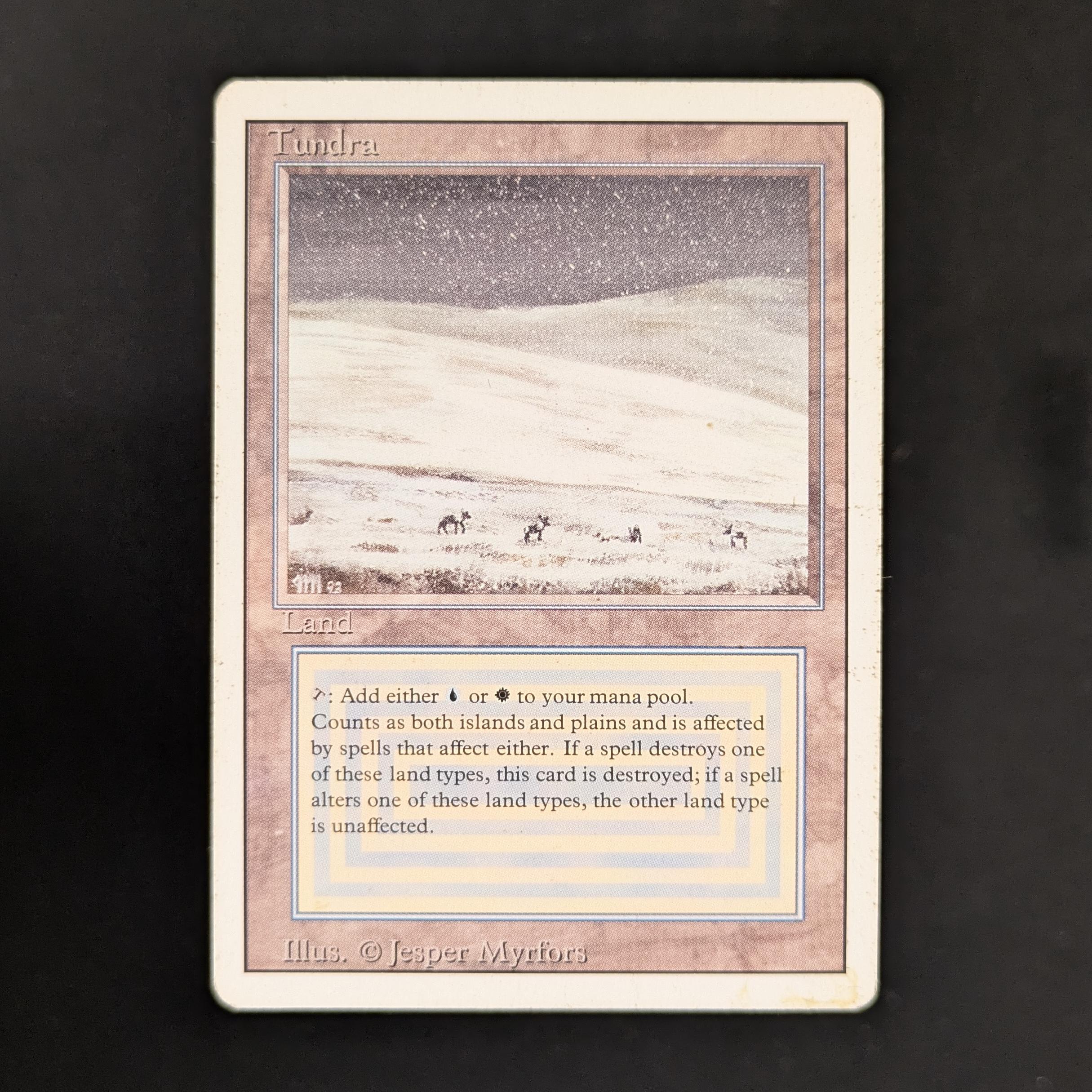 MTG Singles - Tundra - Revised - 