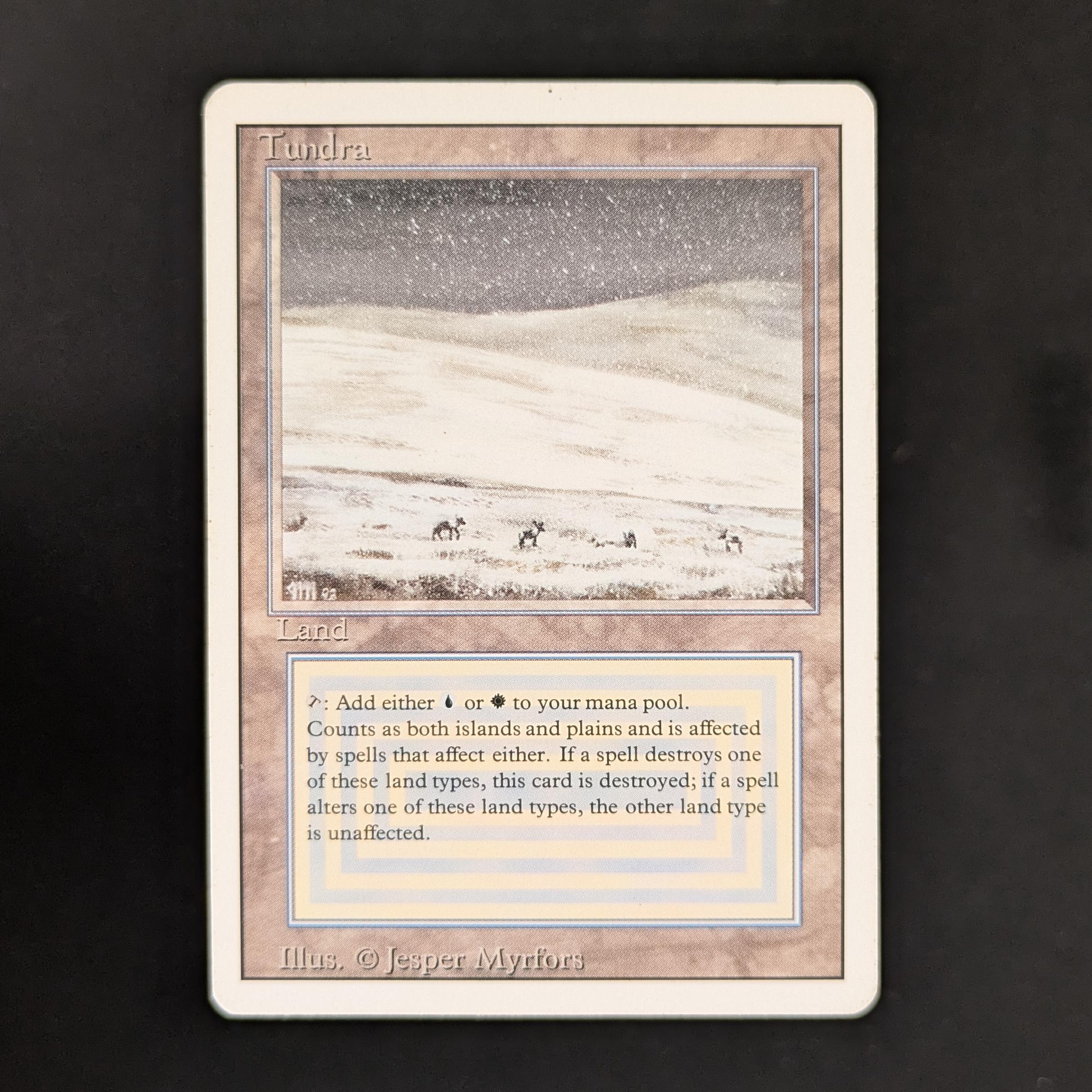 MTG Singles - Tundra - Revised - 