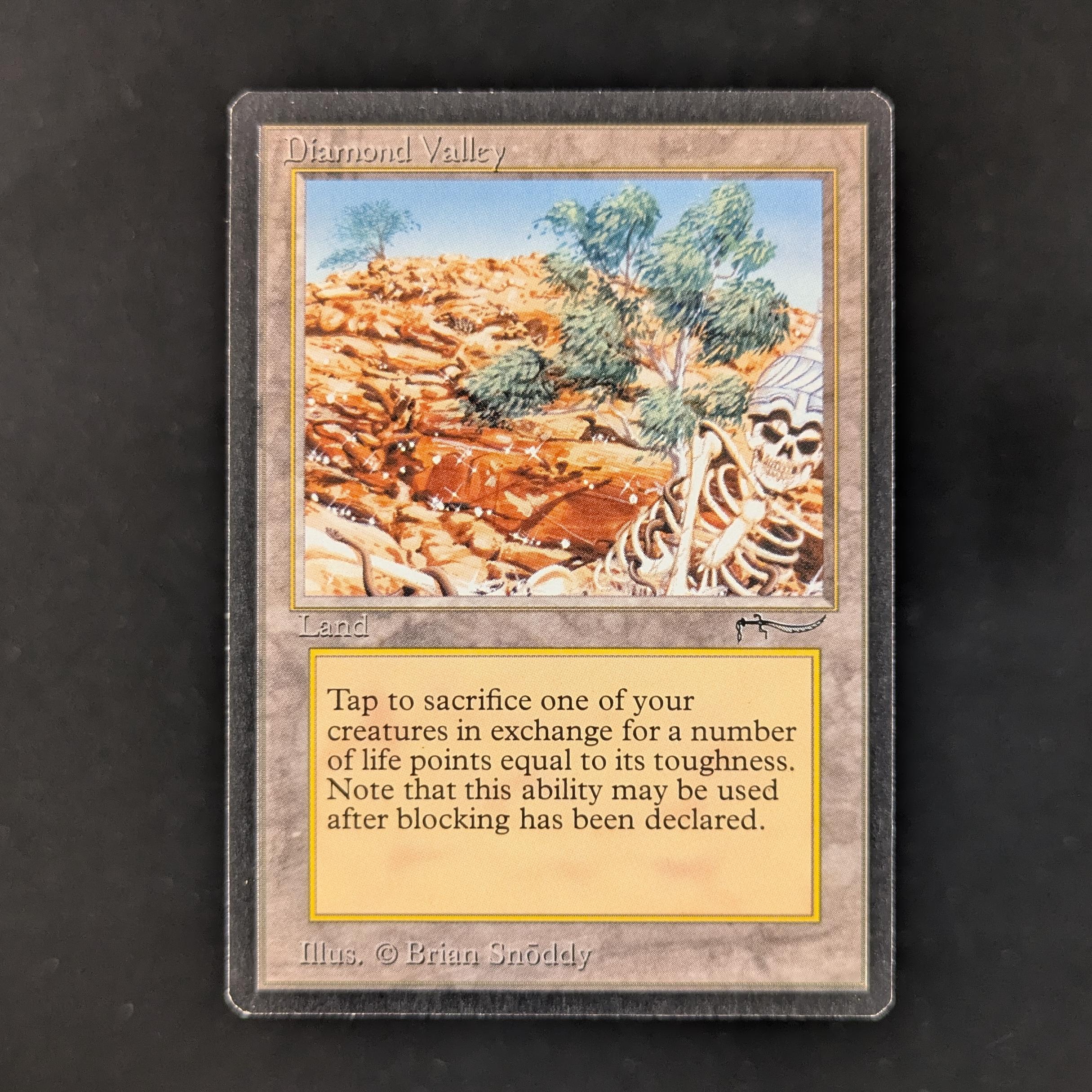 MTG Singles - Diamond Valley - Arabian Nights - NM - 29886