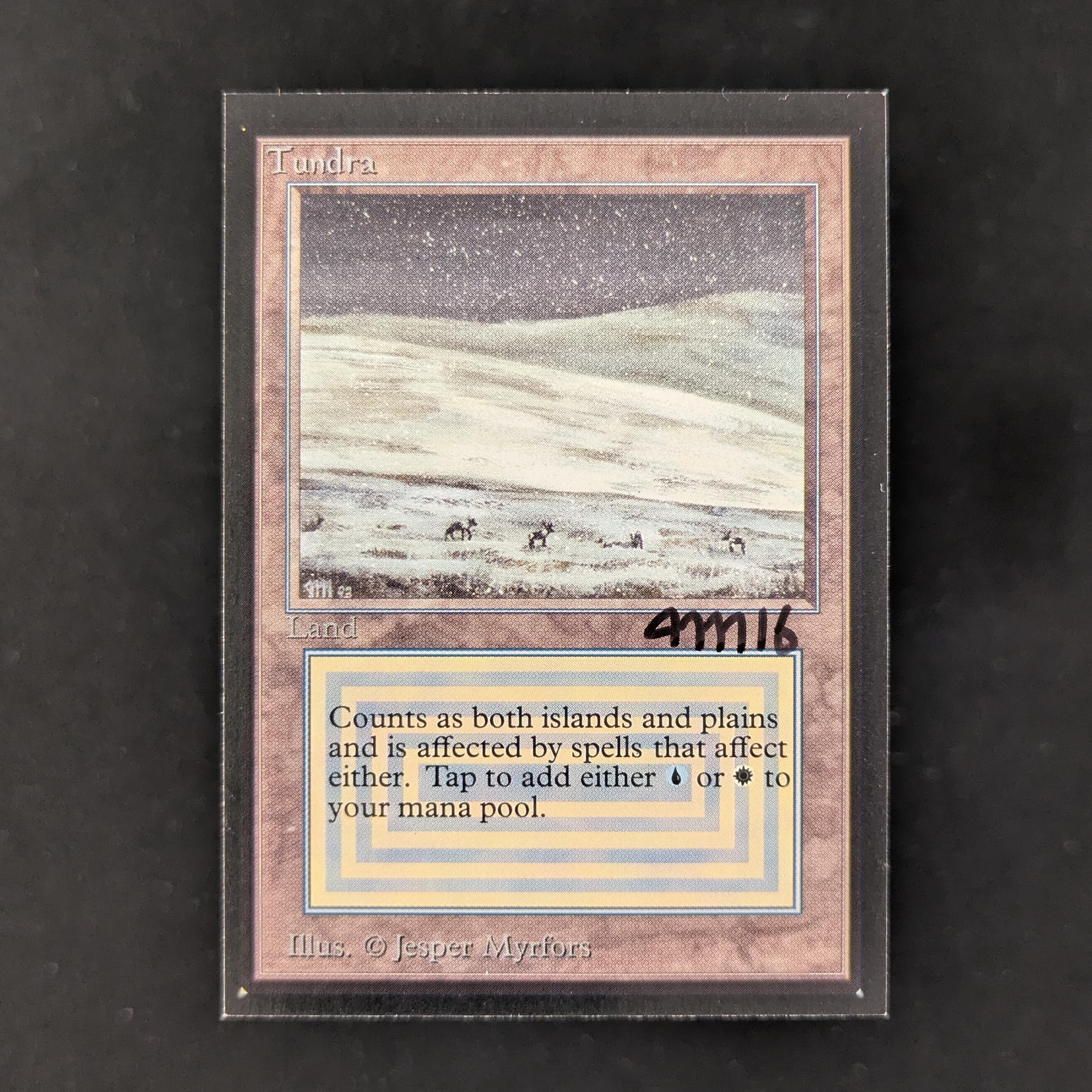 MTG Singles - Tundra - International Edition - NM - SIGNED - 29913