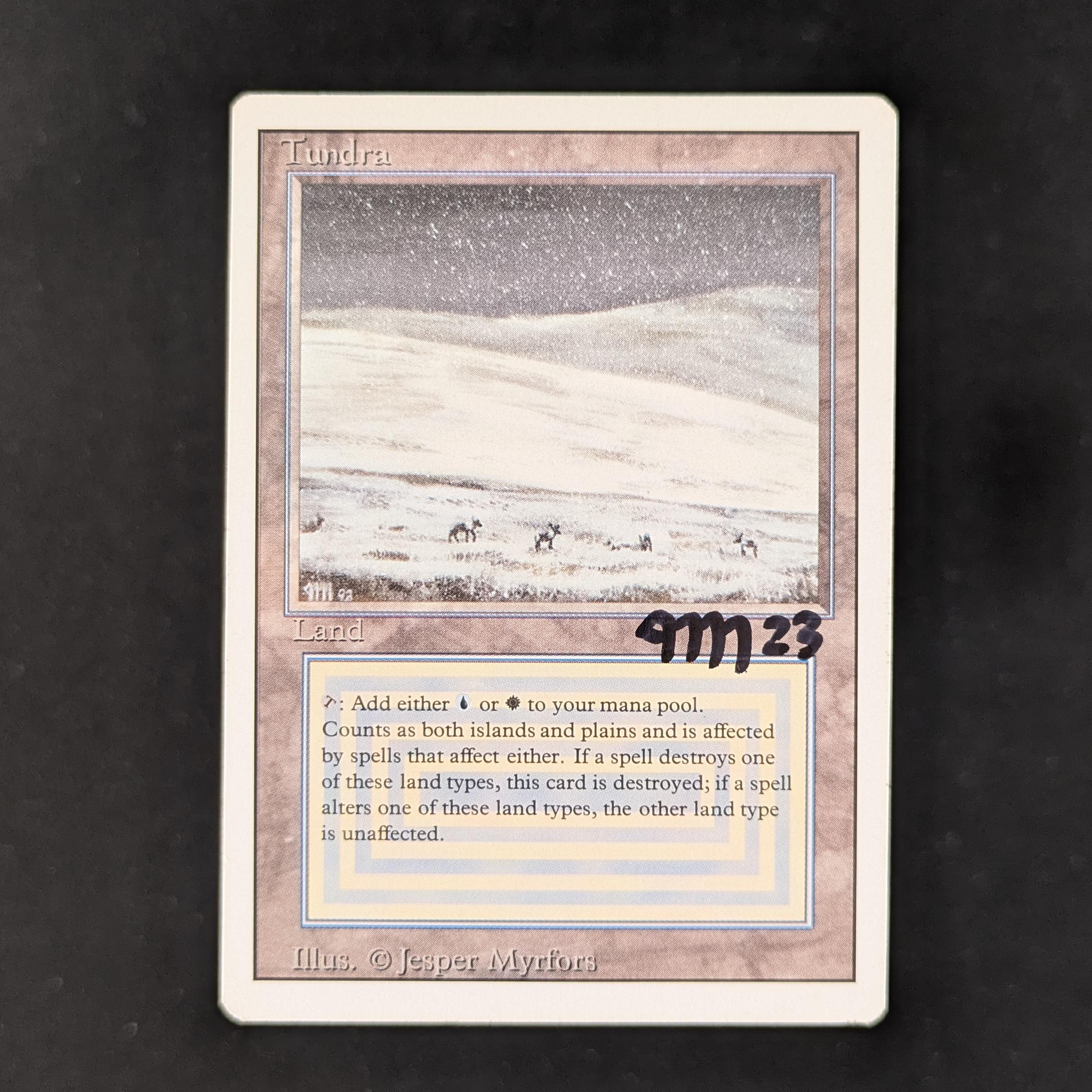 MTG Singles - Tundra - Revised - 