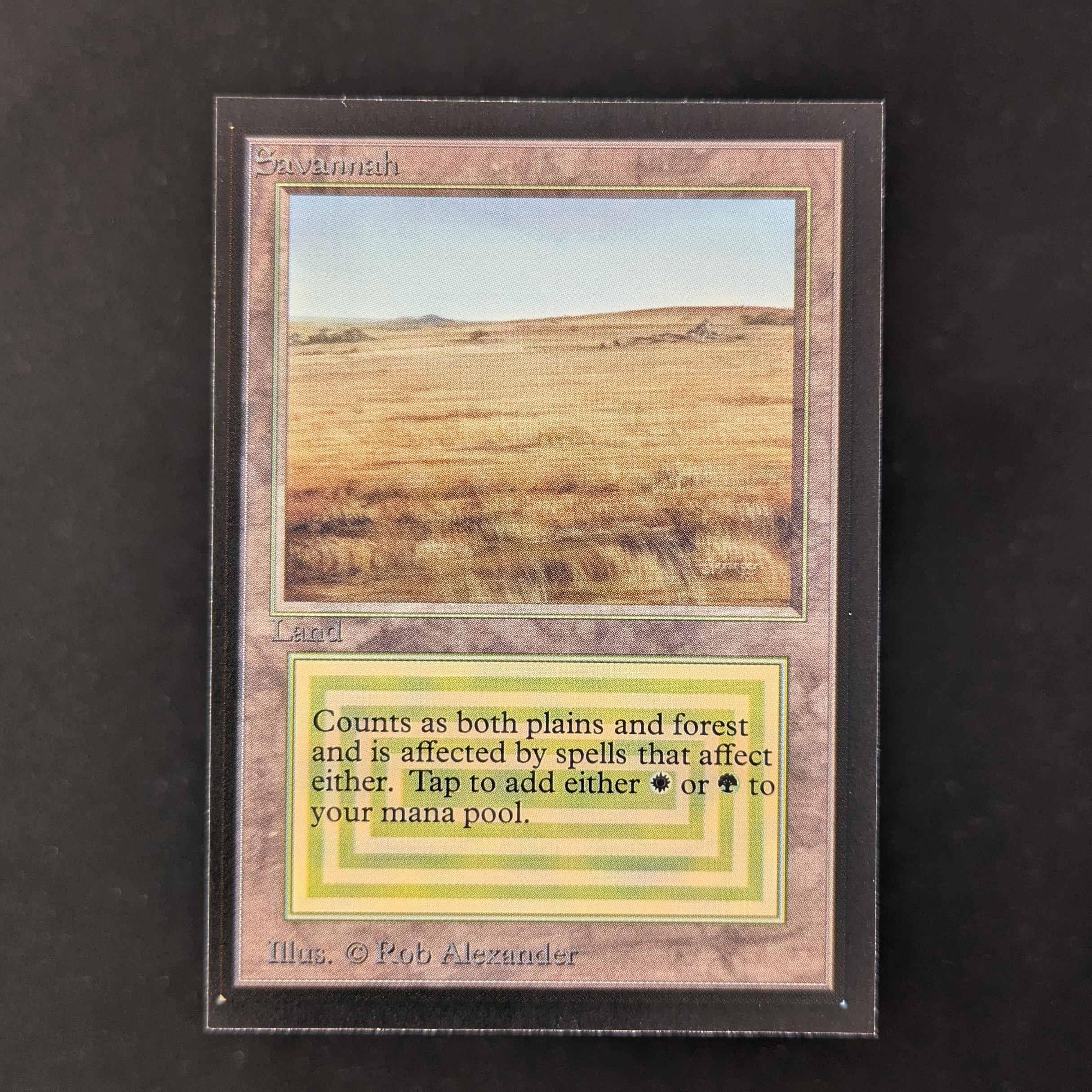 MTG Singles - Savannah - Collectors' Edition - NM - 30176