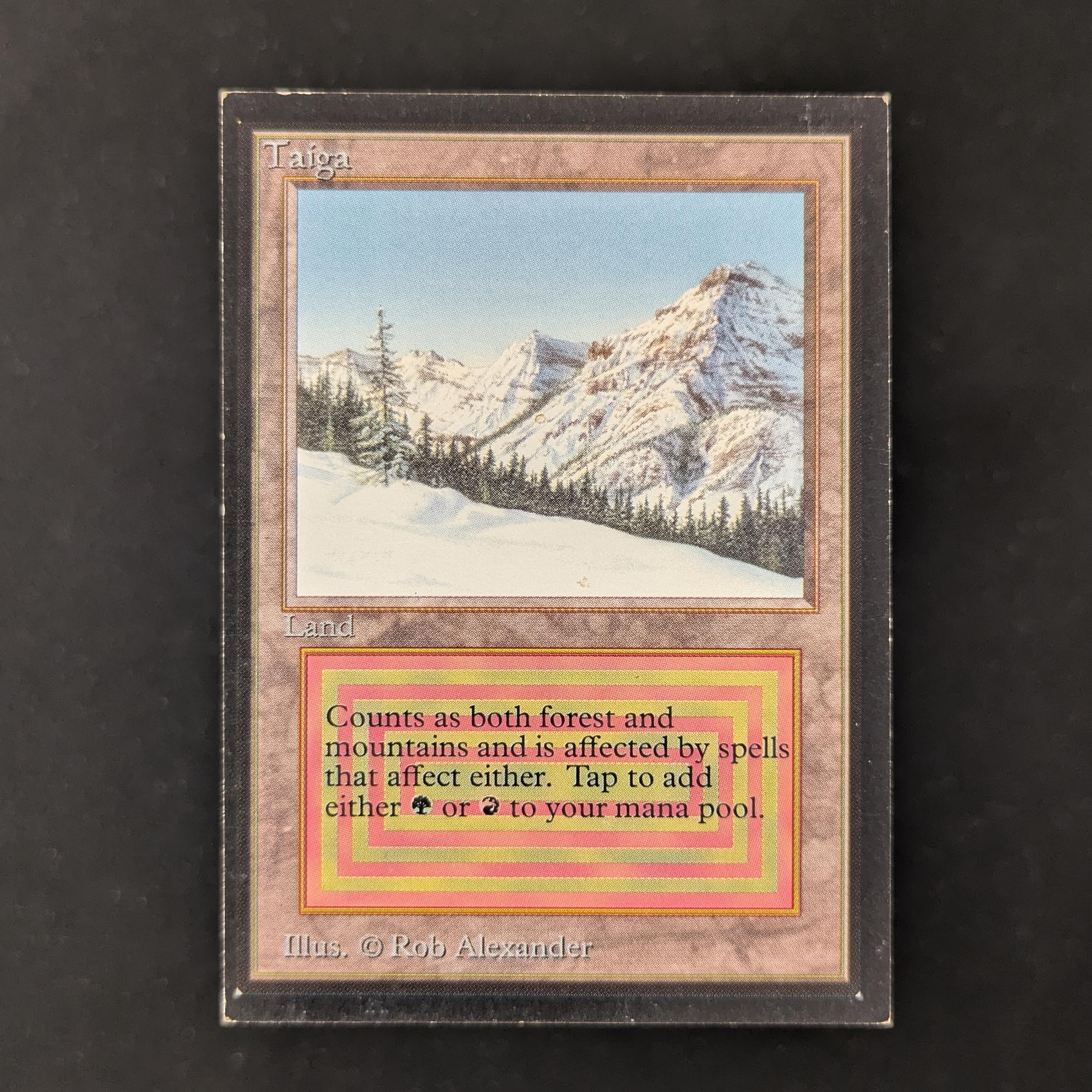 MTG Singles - Taiga - Collectors' Edition - PL - 30181