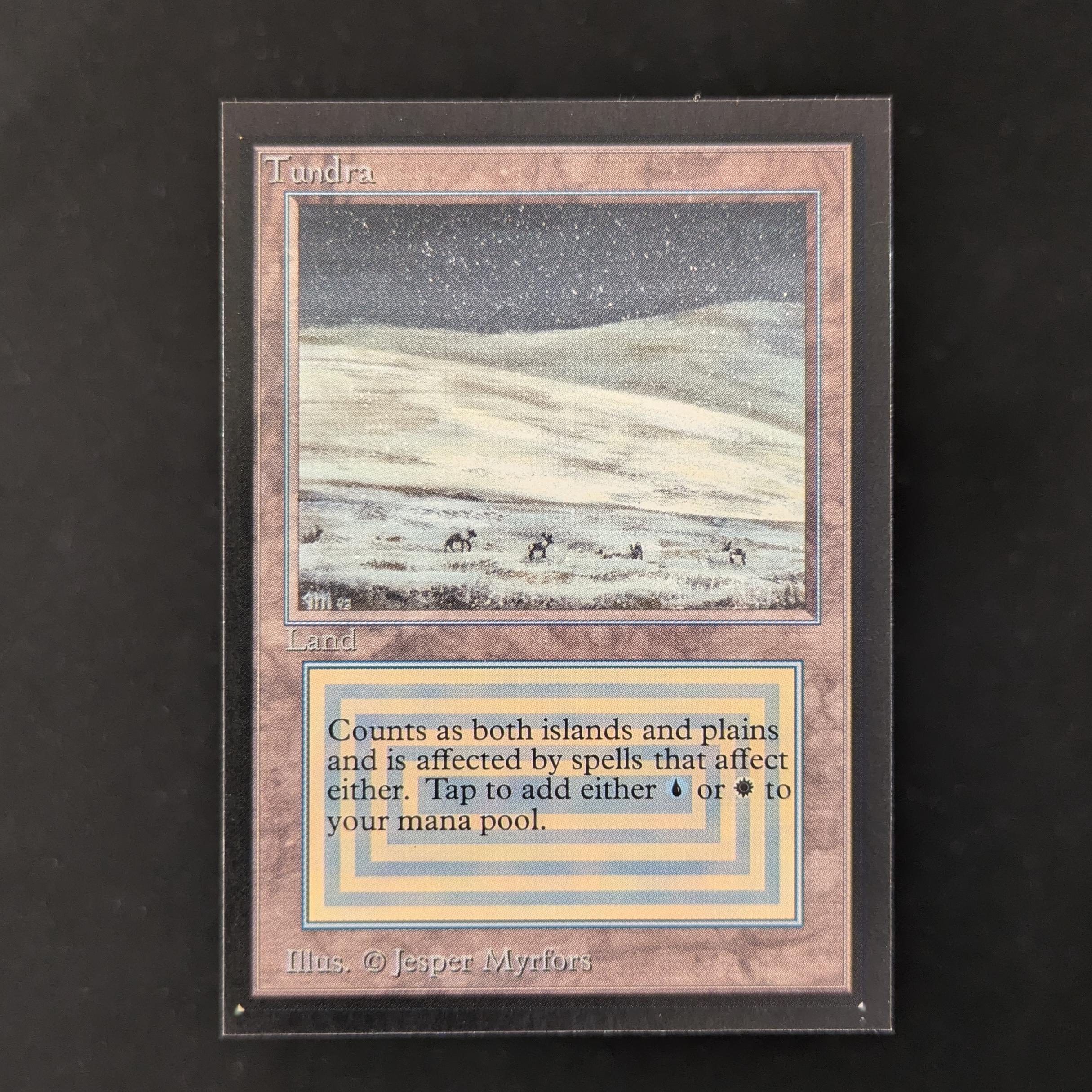 MTG Singles - Tundra - Collectors' Edition - NM - 30184