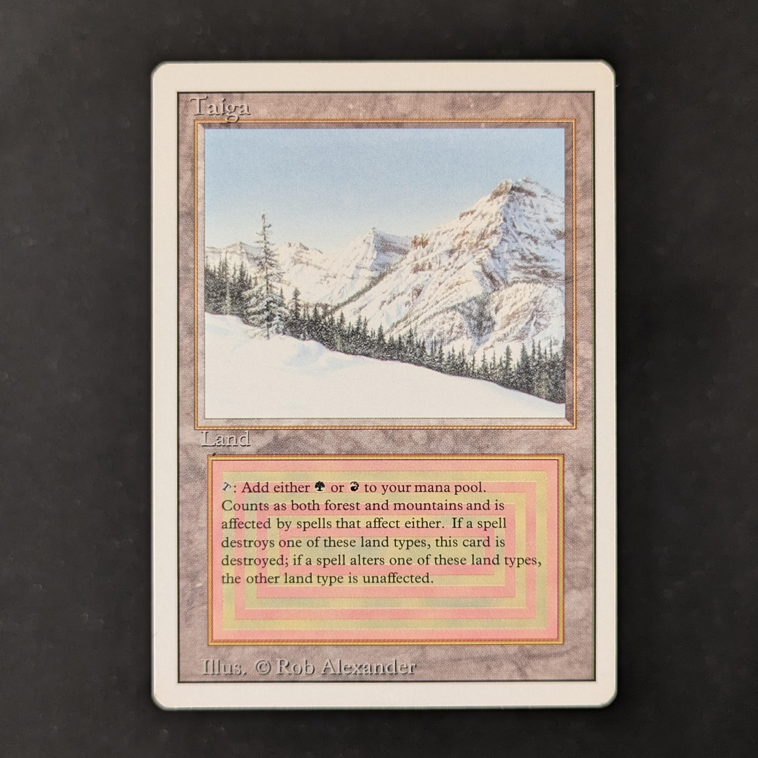 MTG Singles - Taiga - Revised - 