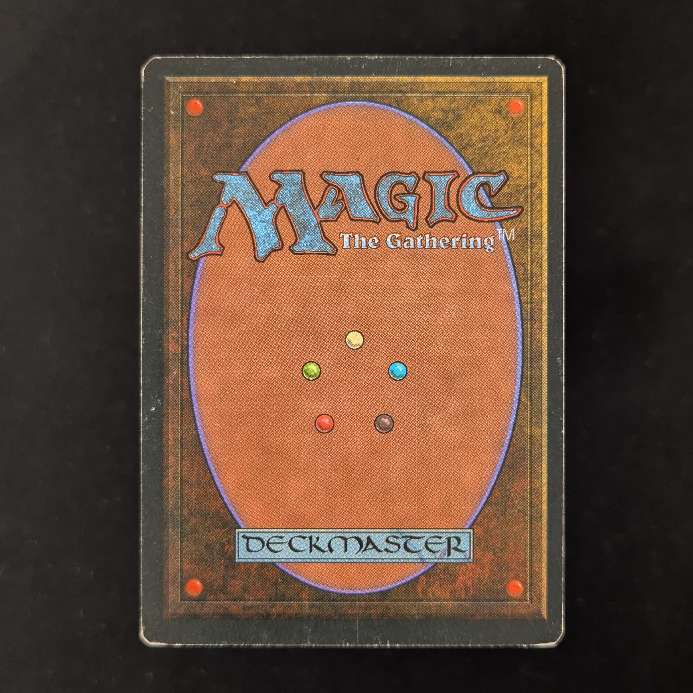 MTG Singles - Taiga - Foreign White Bordered - 