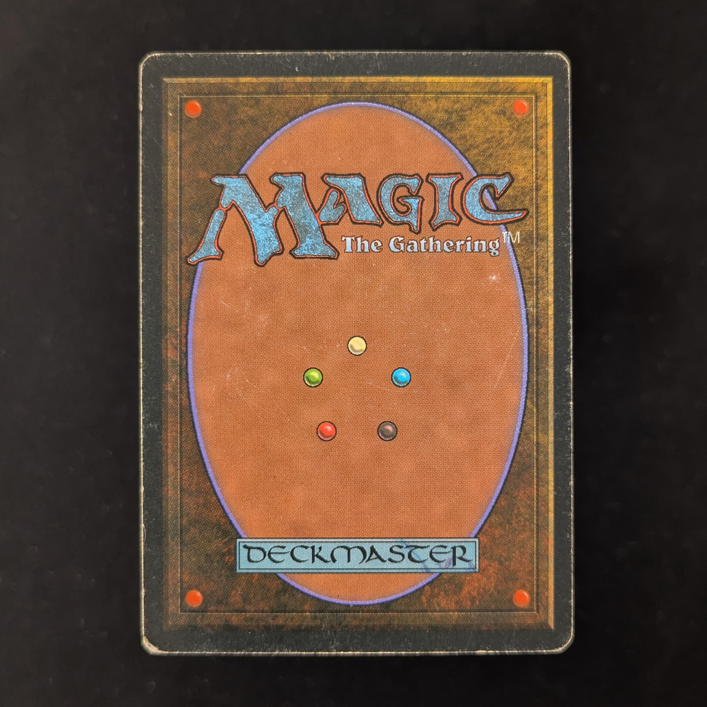 MTG Singles - Taiga - Foreign White Bordered - 